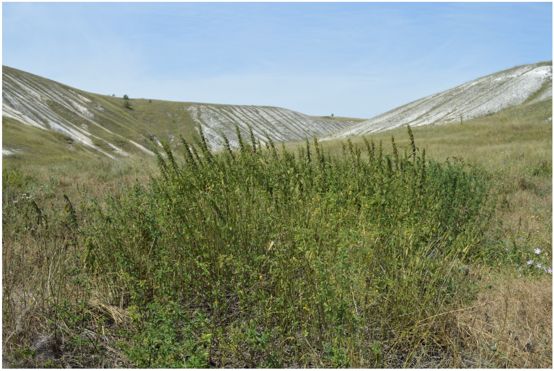 Agronomy 12 00076 g001 Agronomy 12 00076 g001