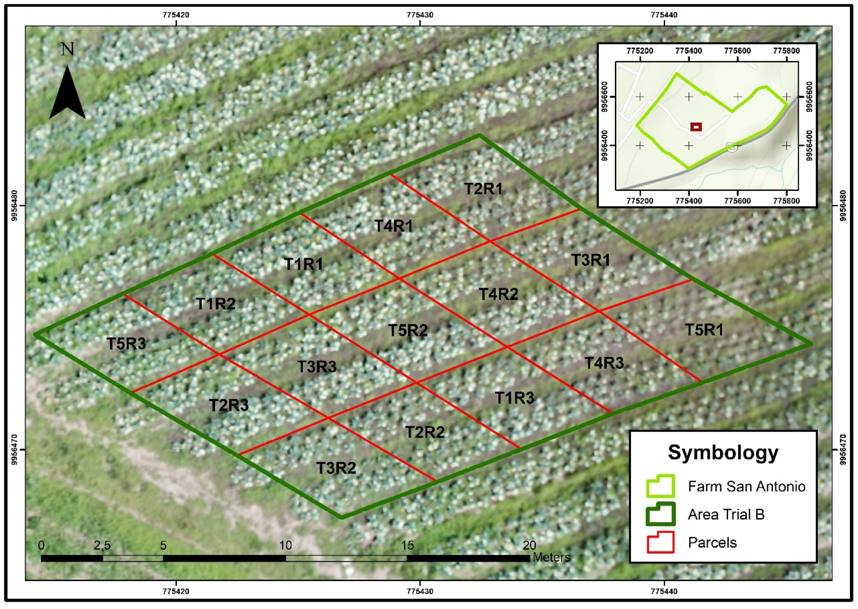 Agronomy 12 00081 g004