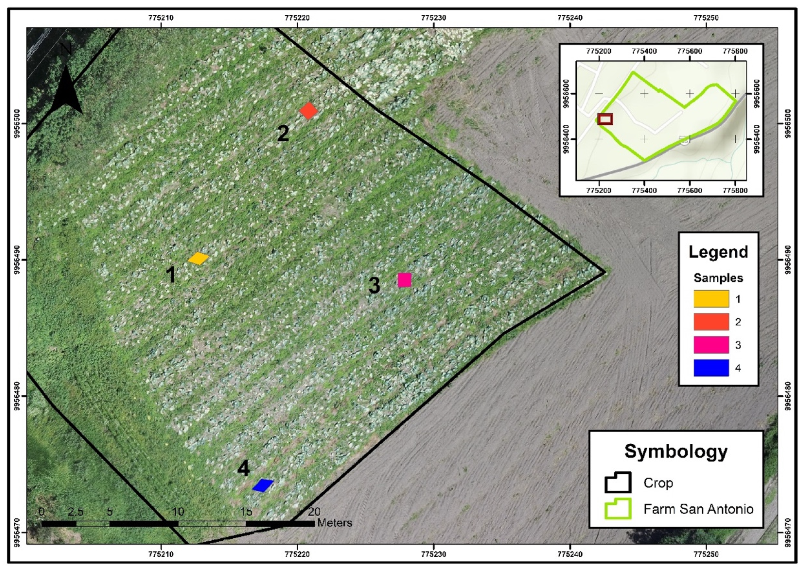 Agronomy 12 00081 g007