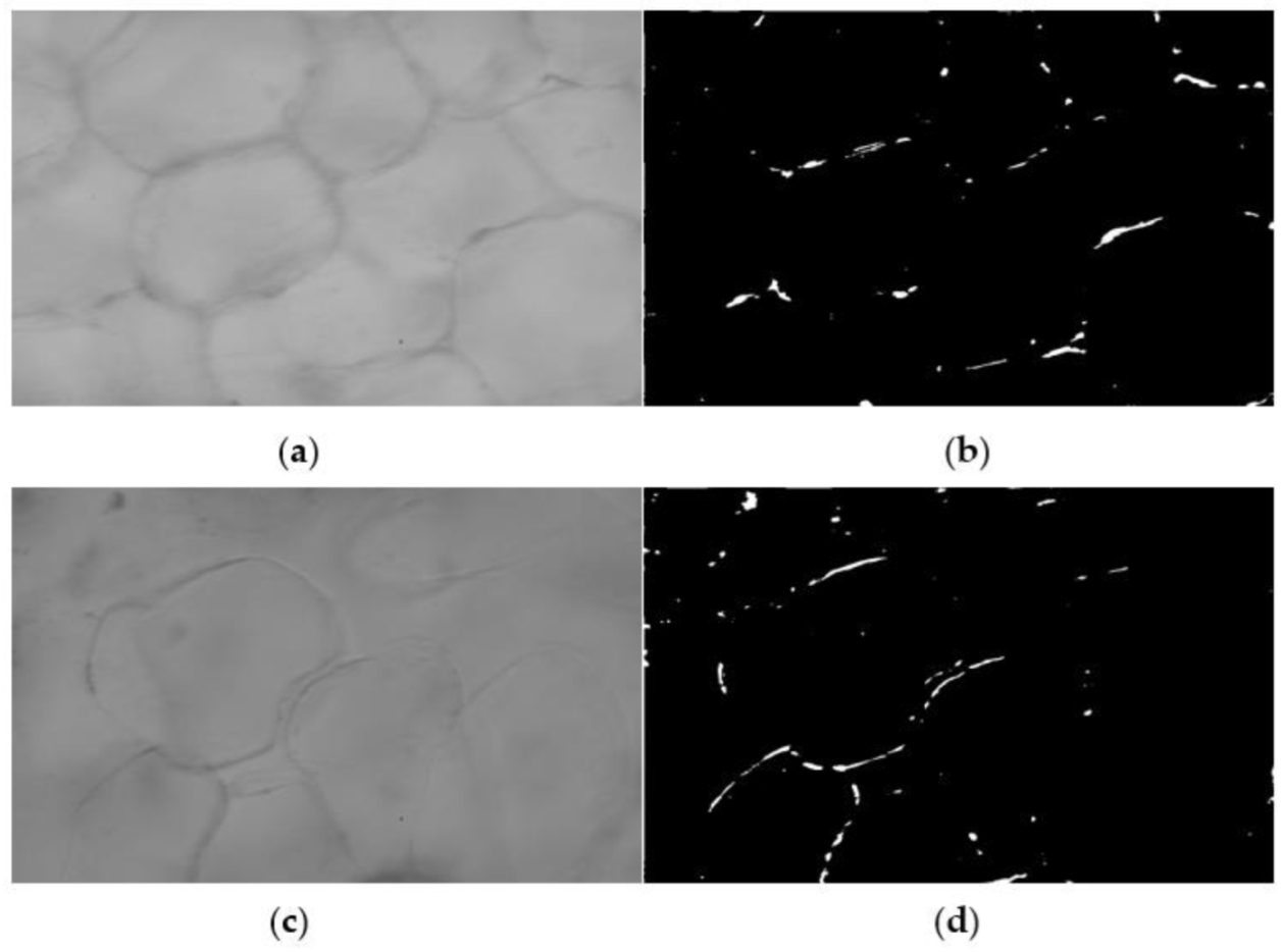 Agronomy 12 00085 g004 Agronomy 12 00085 g004