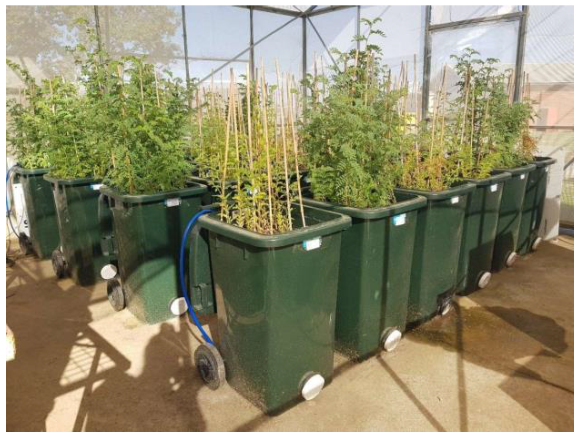 Agronomy 12 00089 g001 550