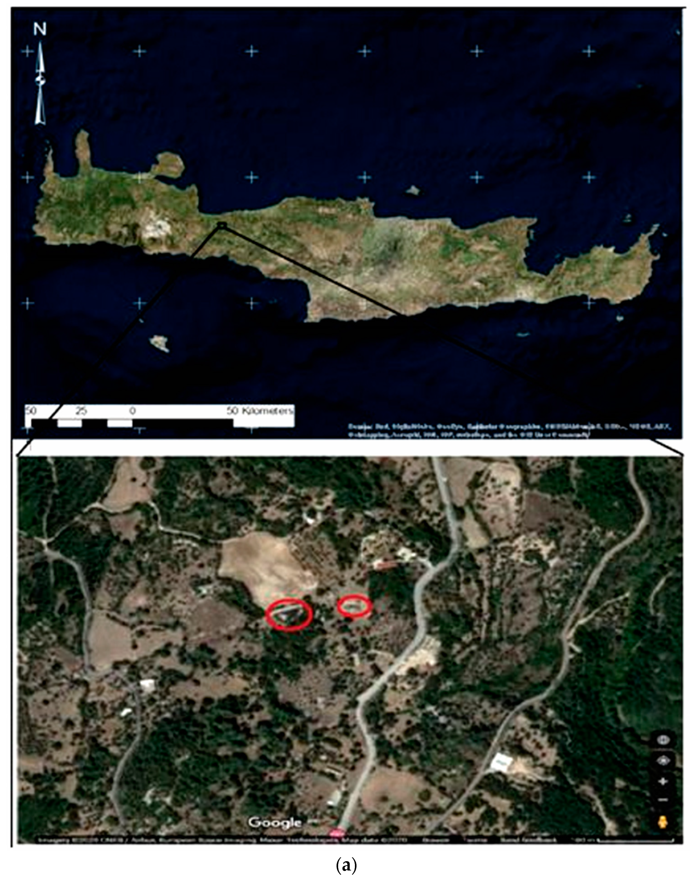 Agronomy 12 00090 g001a
