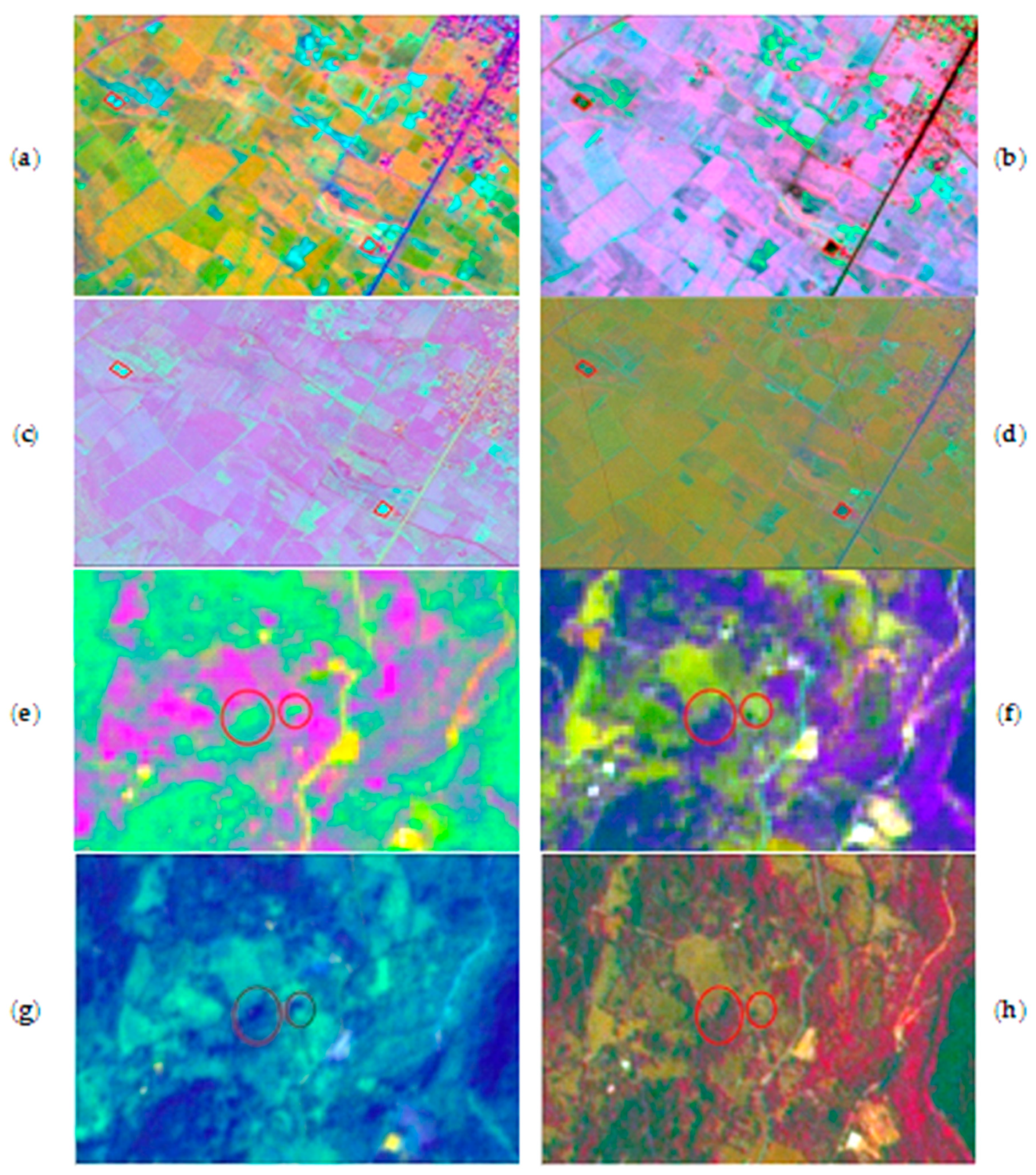 Agronomy 12 00090 g004