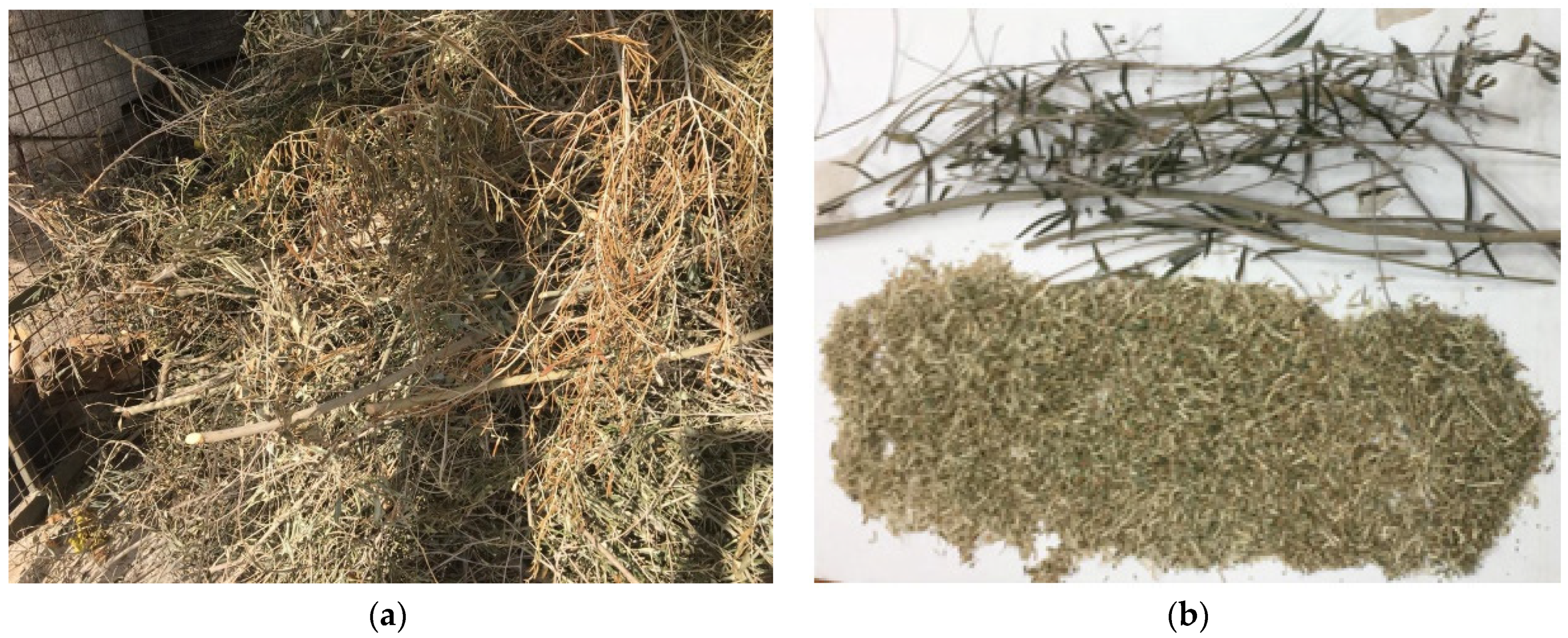 Agronomy 12 00093 g001 550