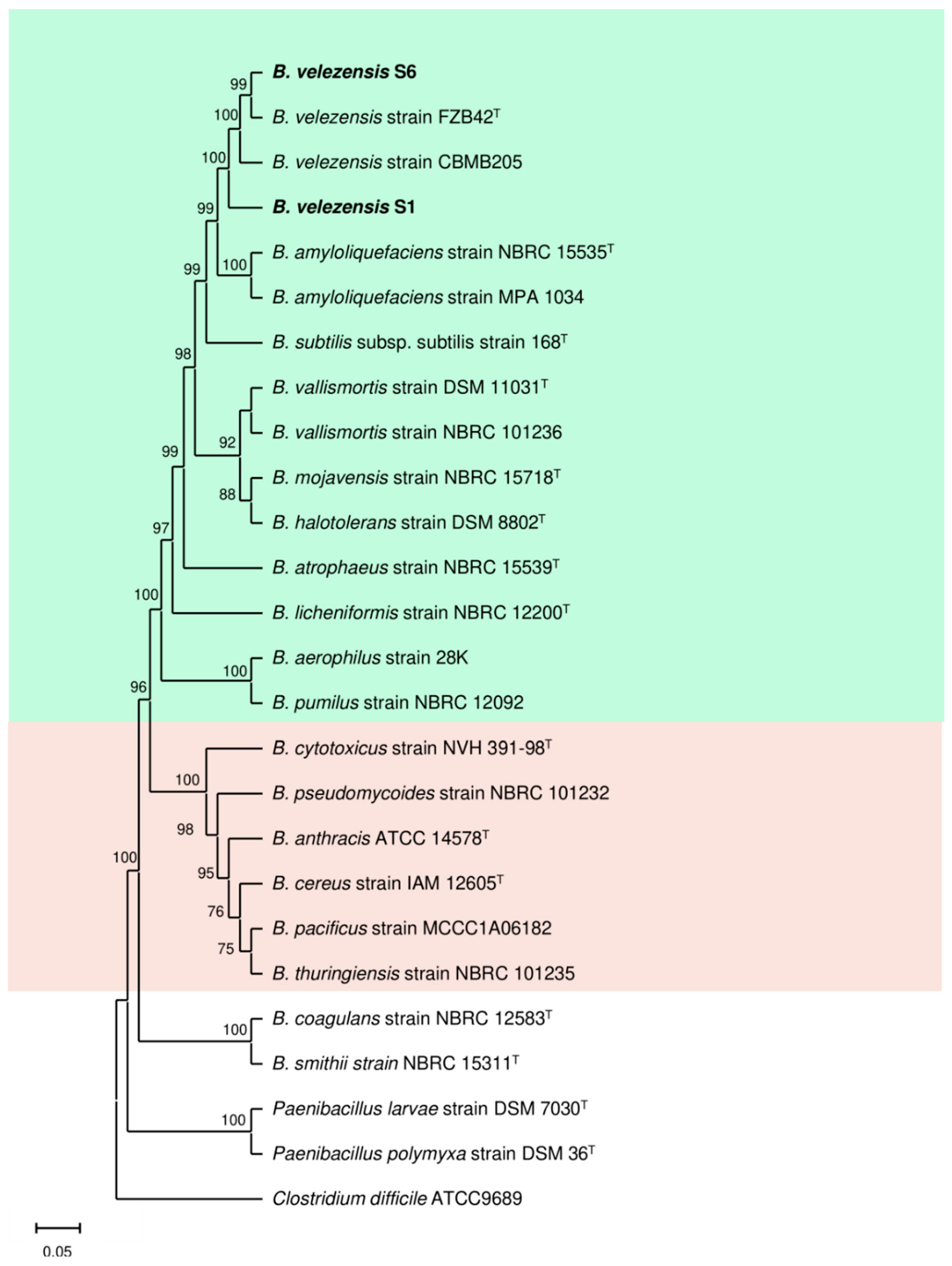Agronomy 12 00095 g001 550