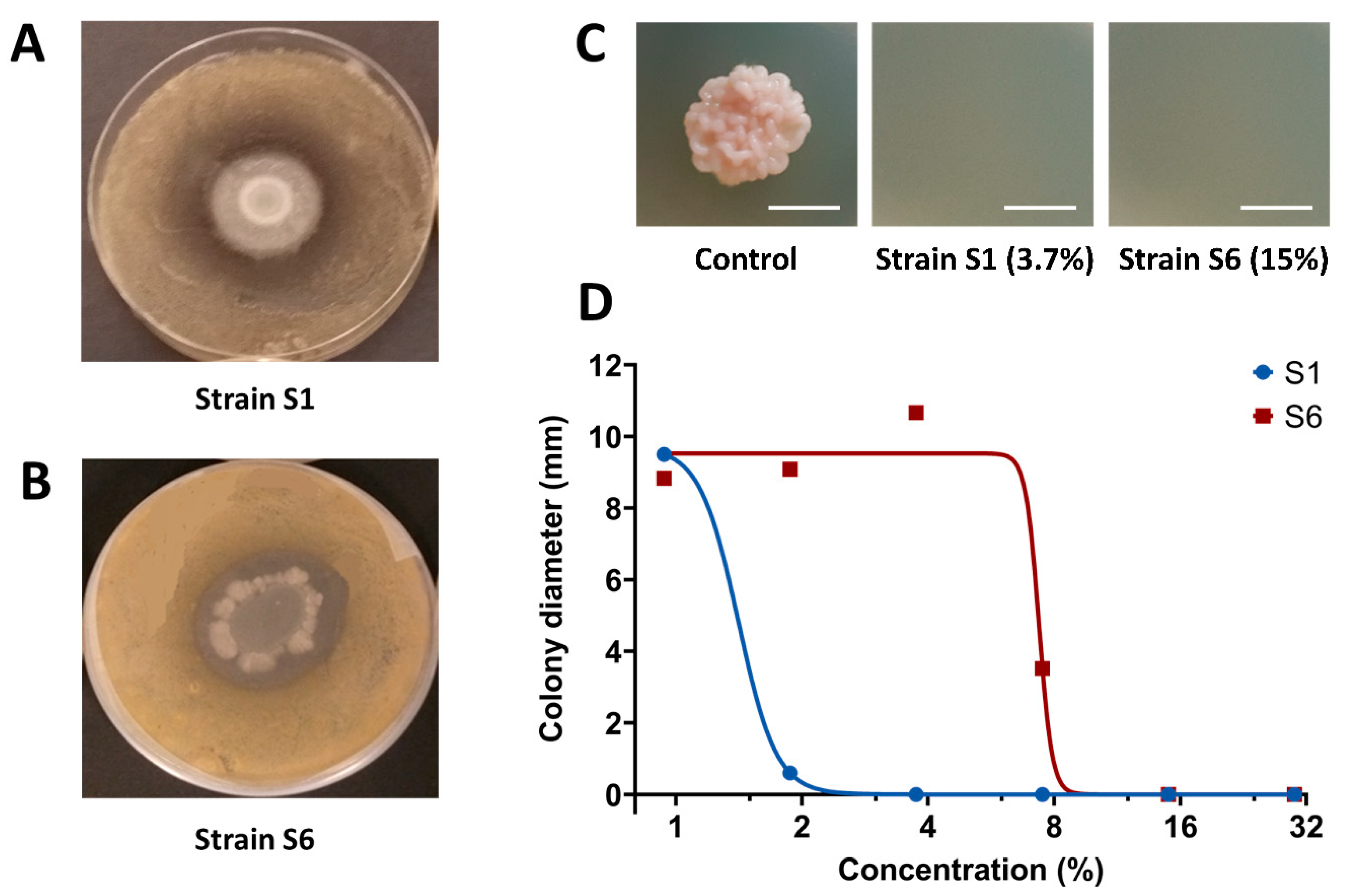 Agronomy 12 00095 g002 550