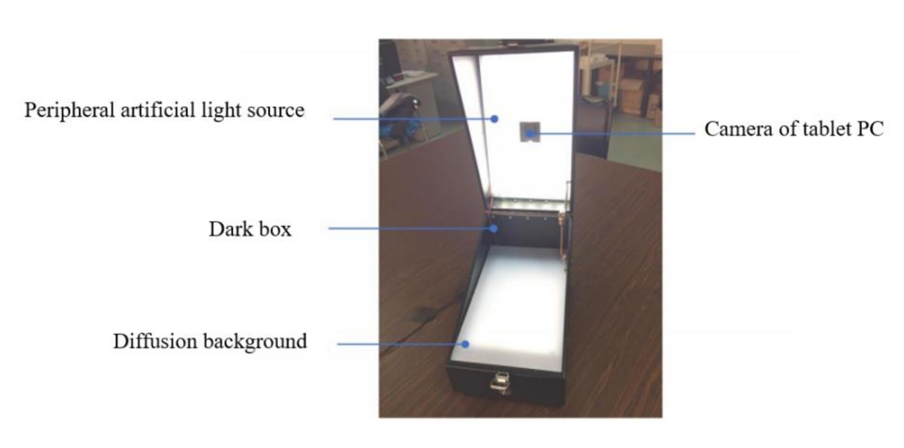 Agronomy 12 00097 g001 550
