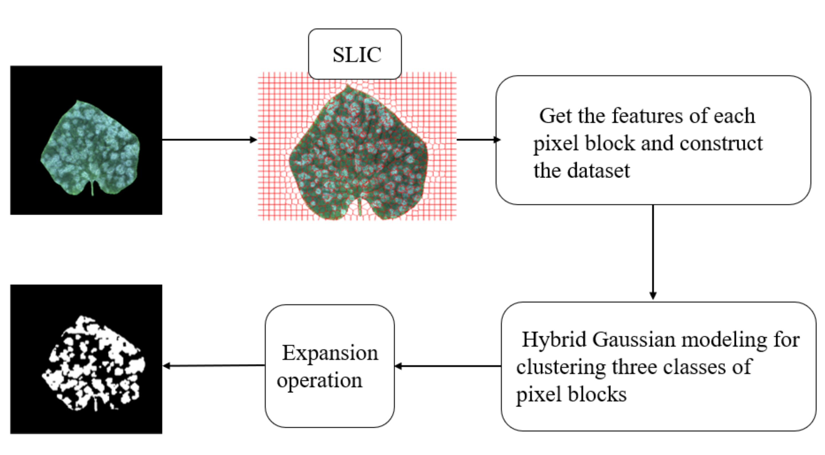 Agronomy 12 00097 g005 550