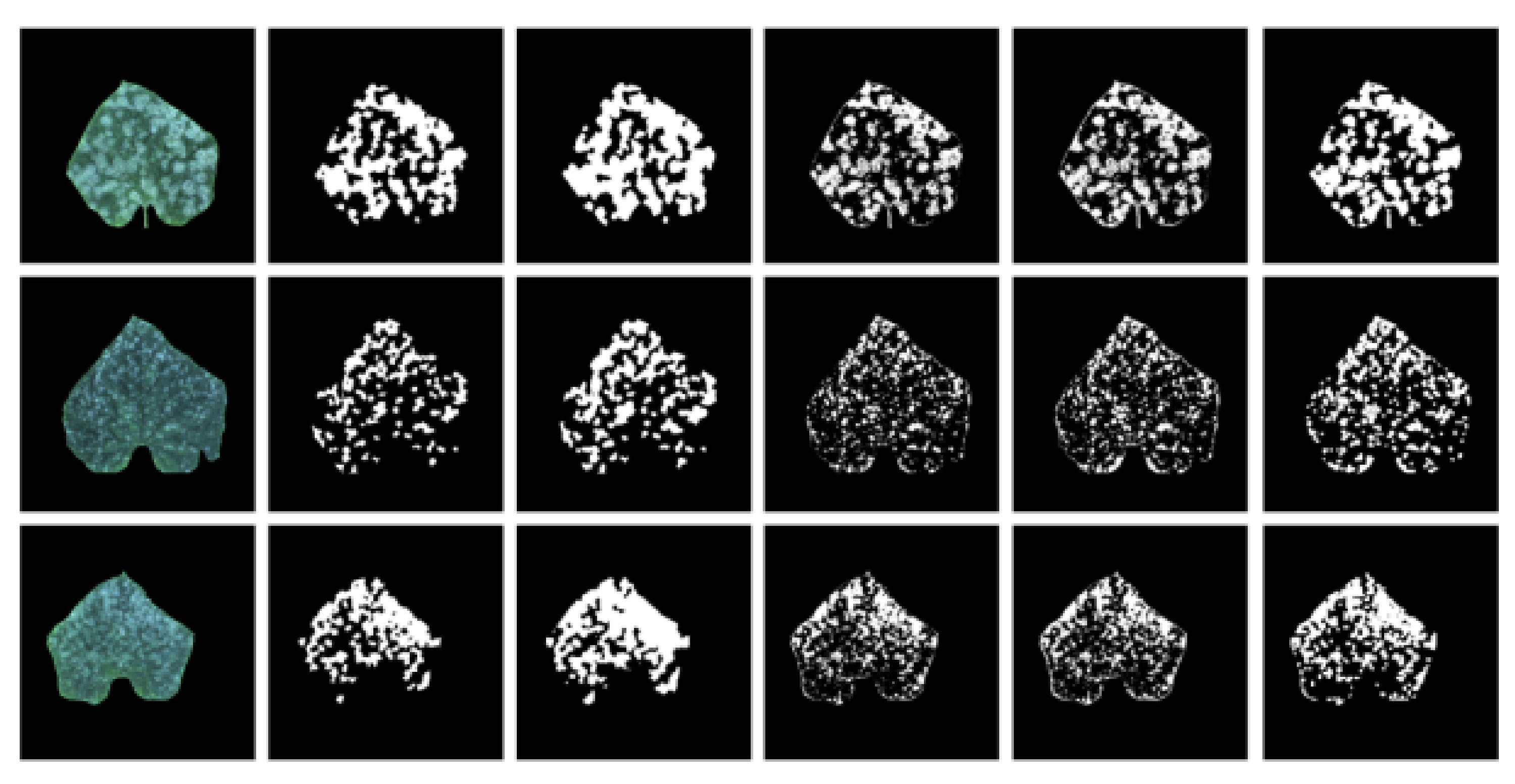 Agronomy 12 00097 g007 550