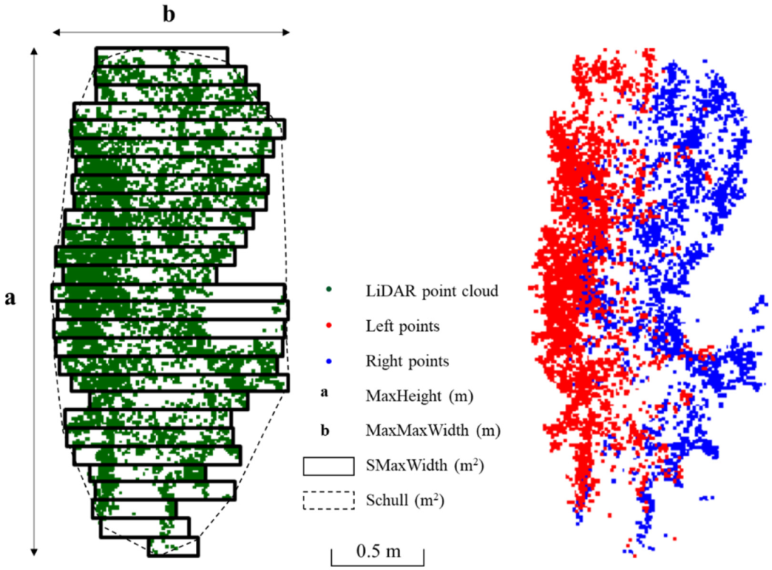 Agronomy 12 00102 g003 550