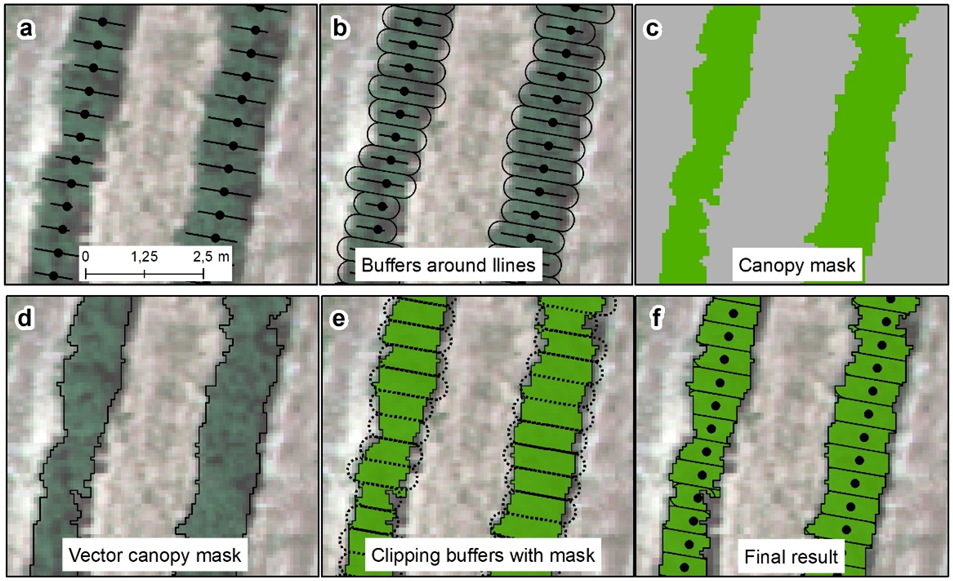 Agronomy 12 00102 g004 550