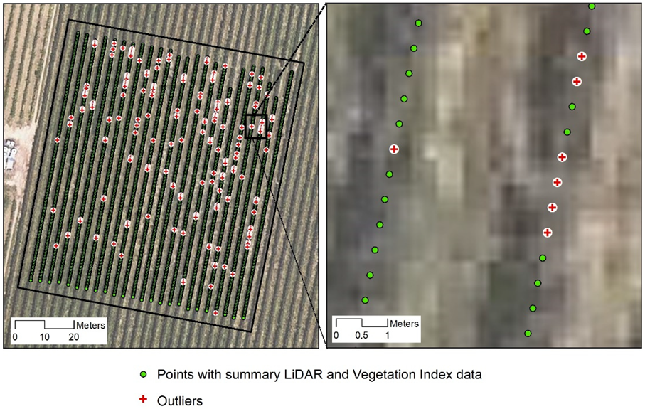 Agronomy 12 00102 g005 550