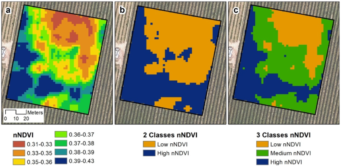 Agronomy 12 00102 g006 550