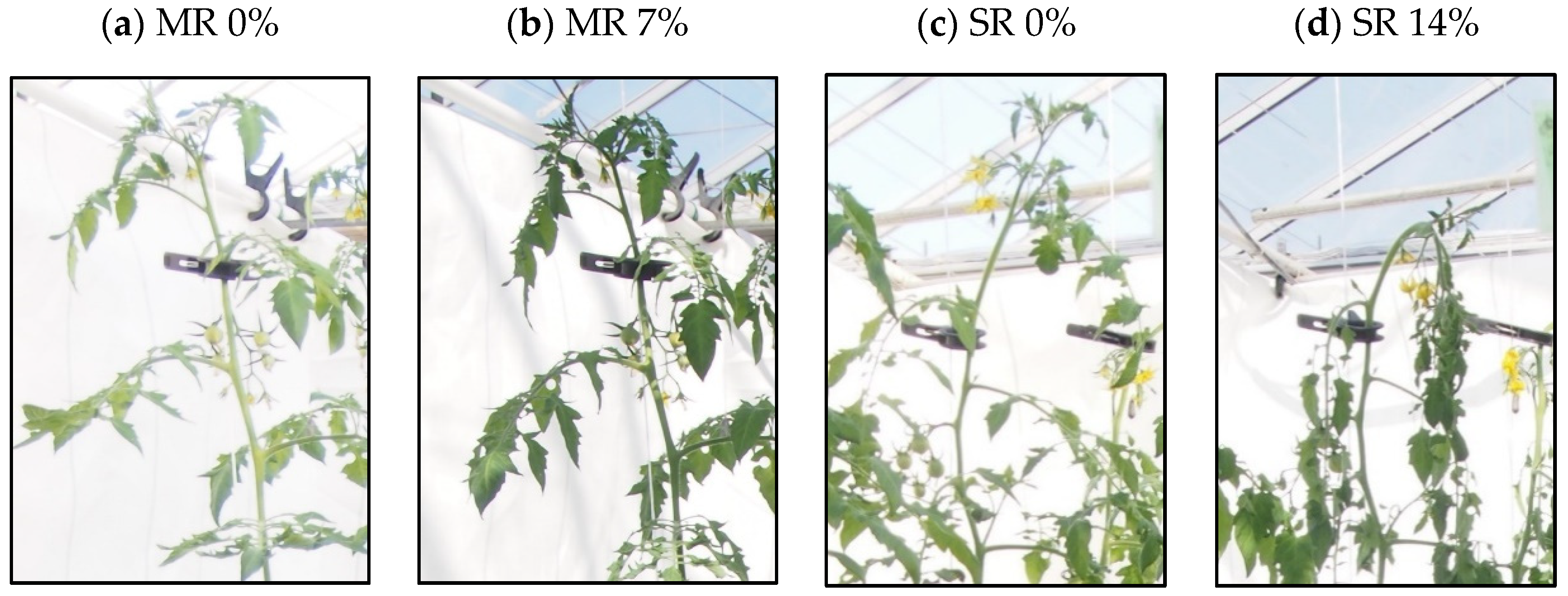 Agronomy 12 00106 g001