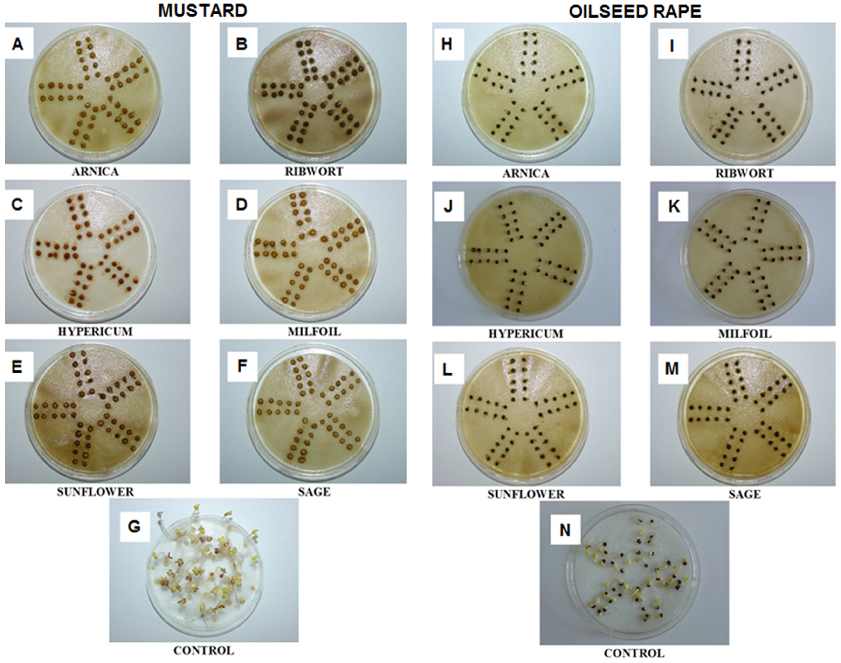 Agronomy 12 00110 g002 550