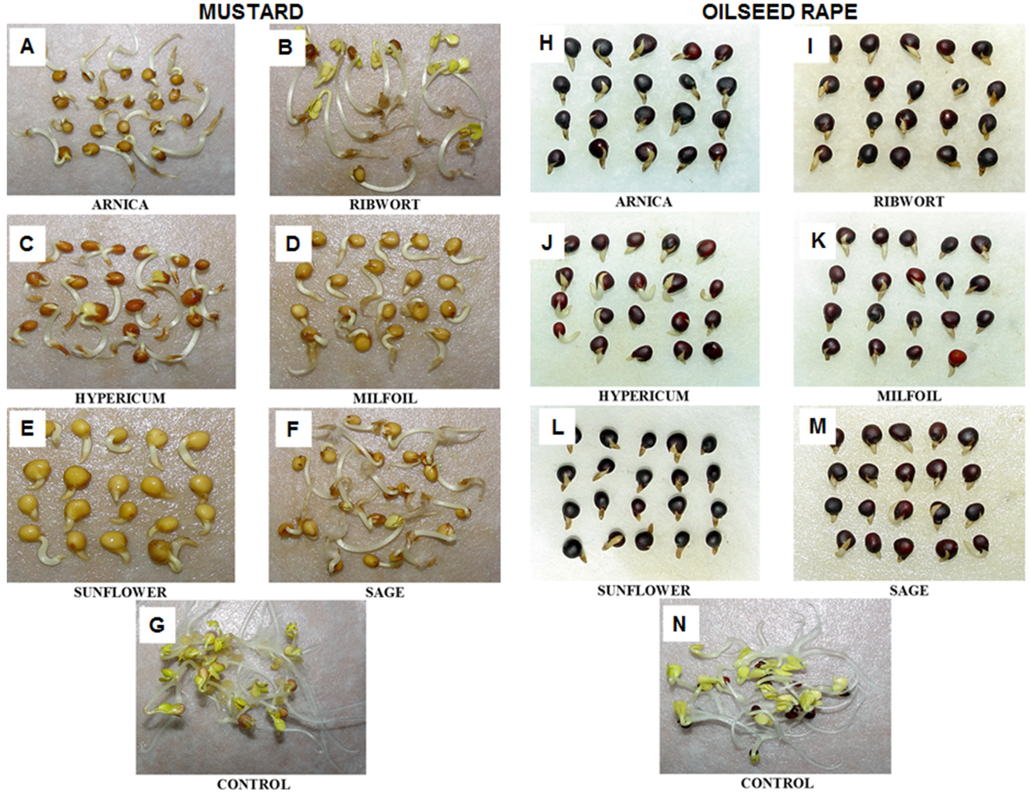 Agronomy 12 00110 g004 550