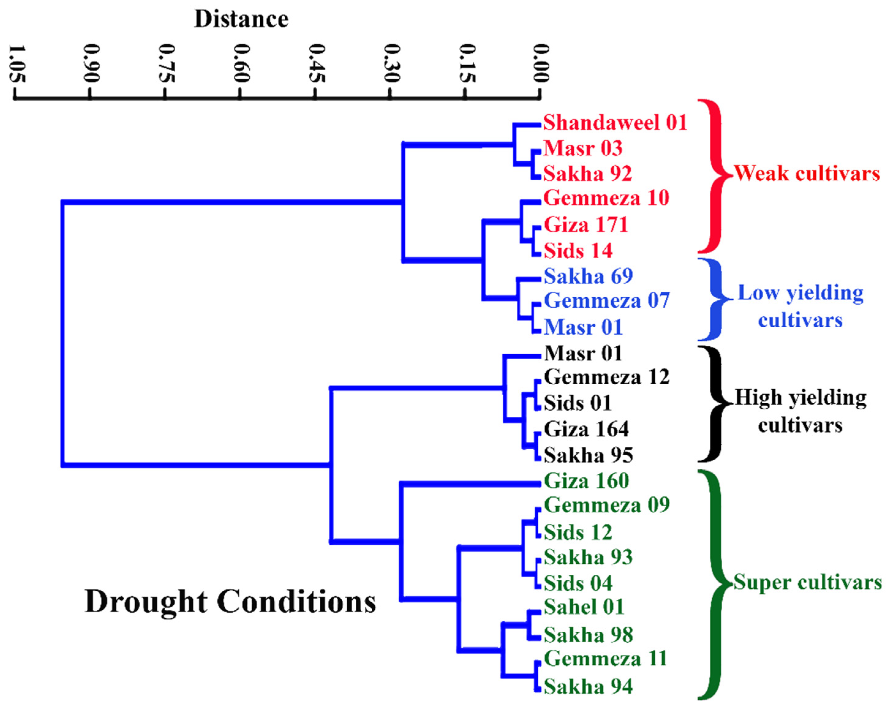 Agronomy 12 00113 g011