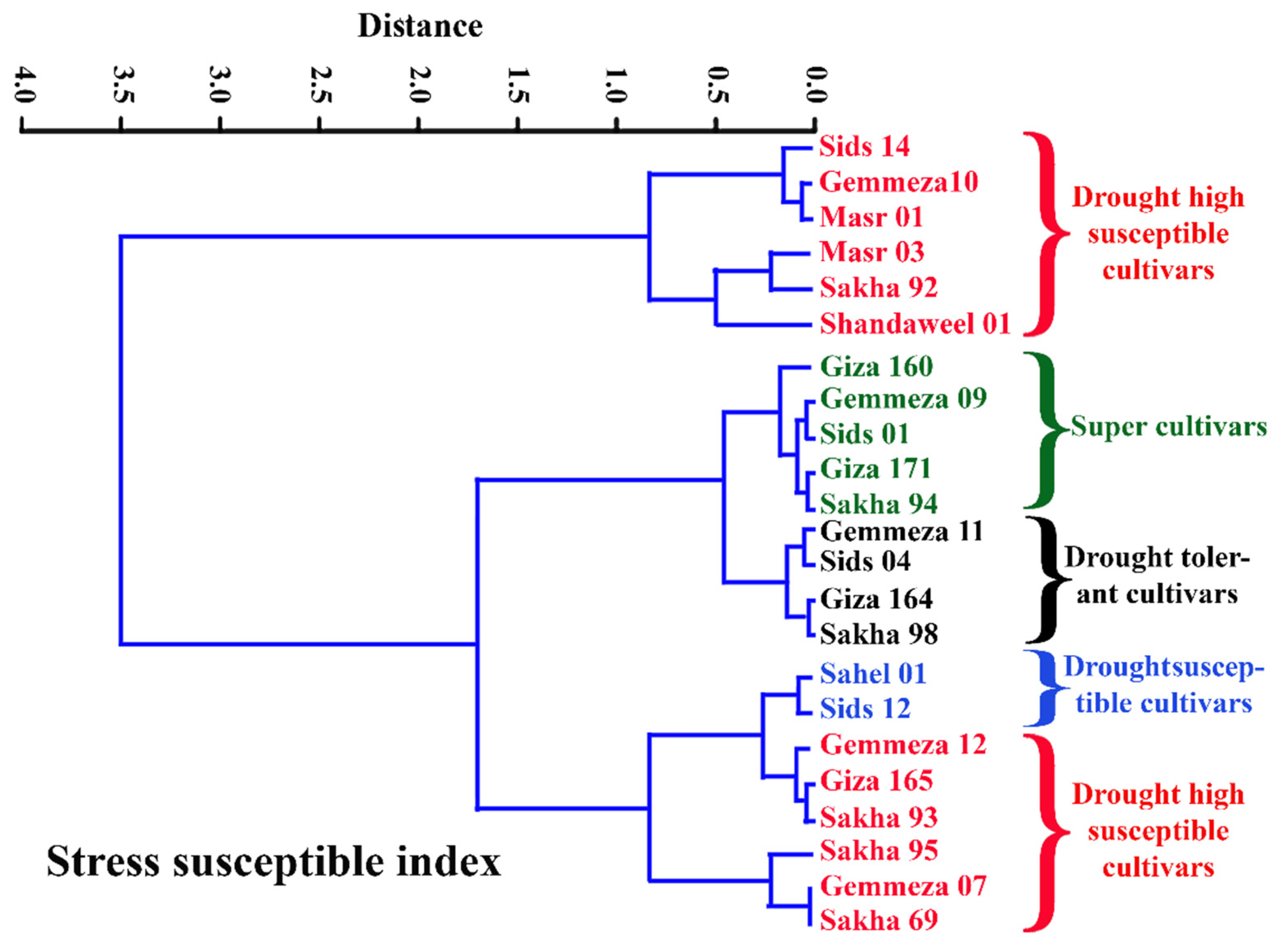 Agronomy 12 00113 g012