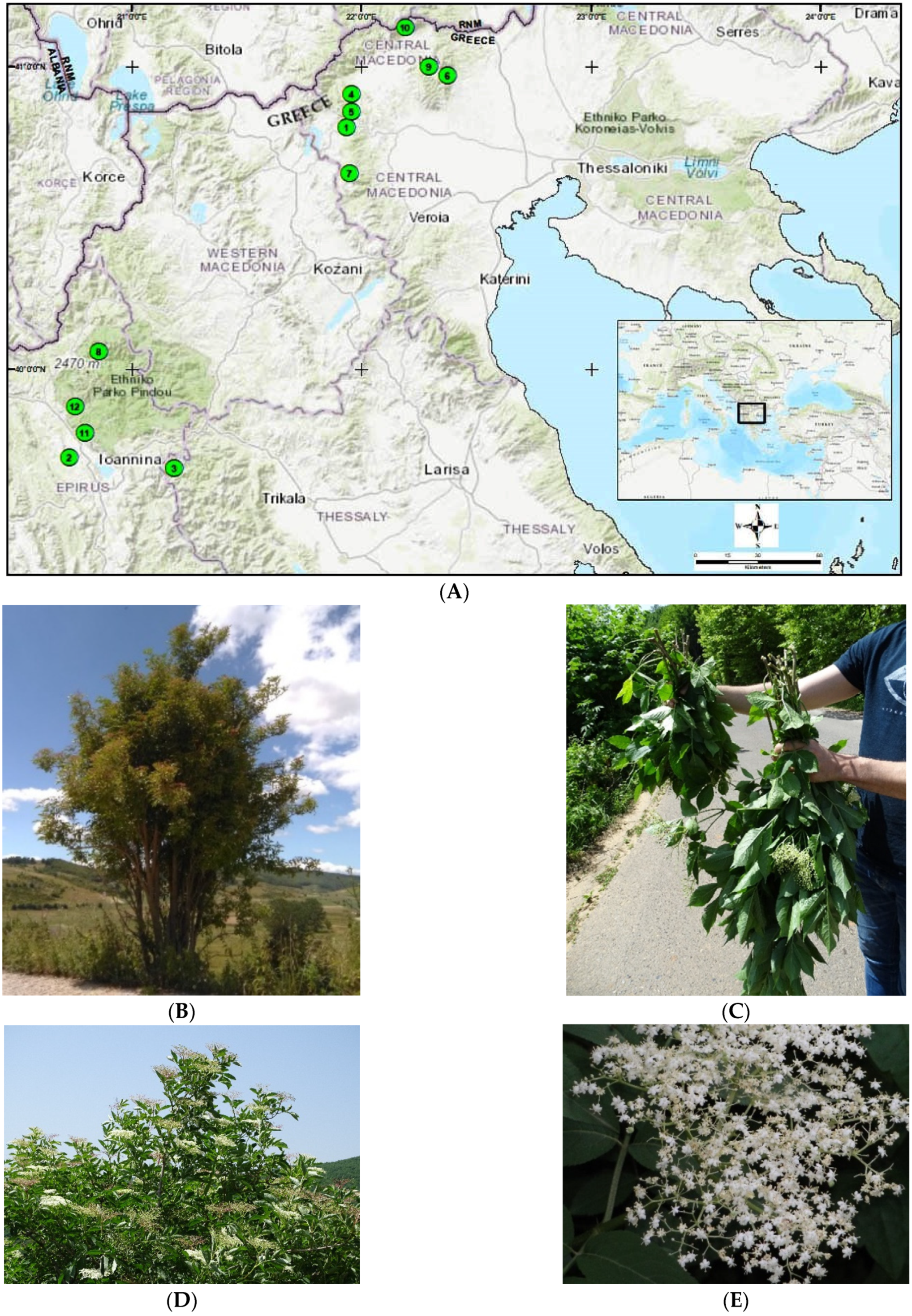 Agronomy 12 00114 g001 Agronomy 12 00114 g001