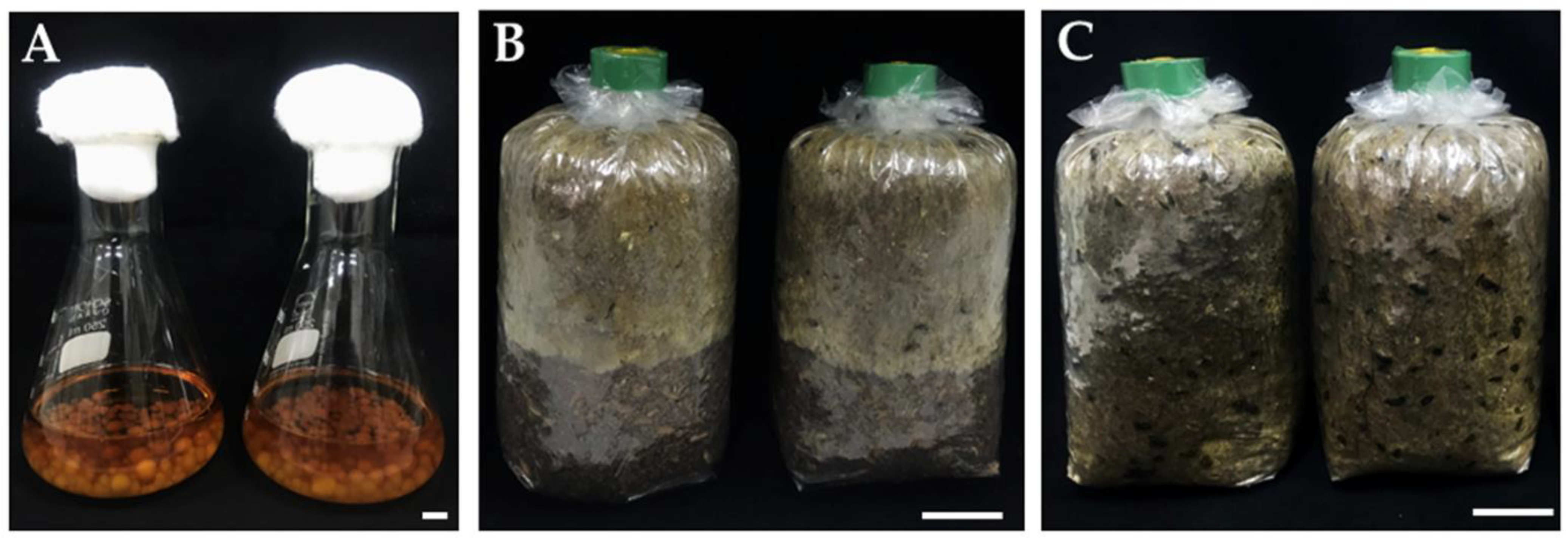 Agronomy 12 00115 g001 550