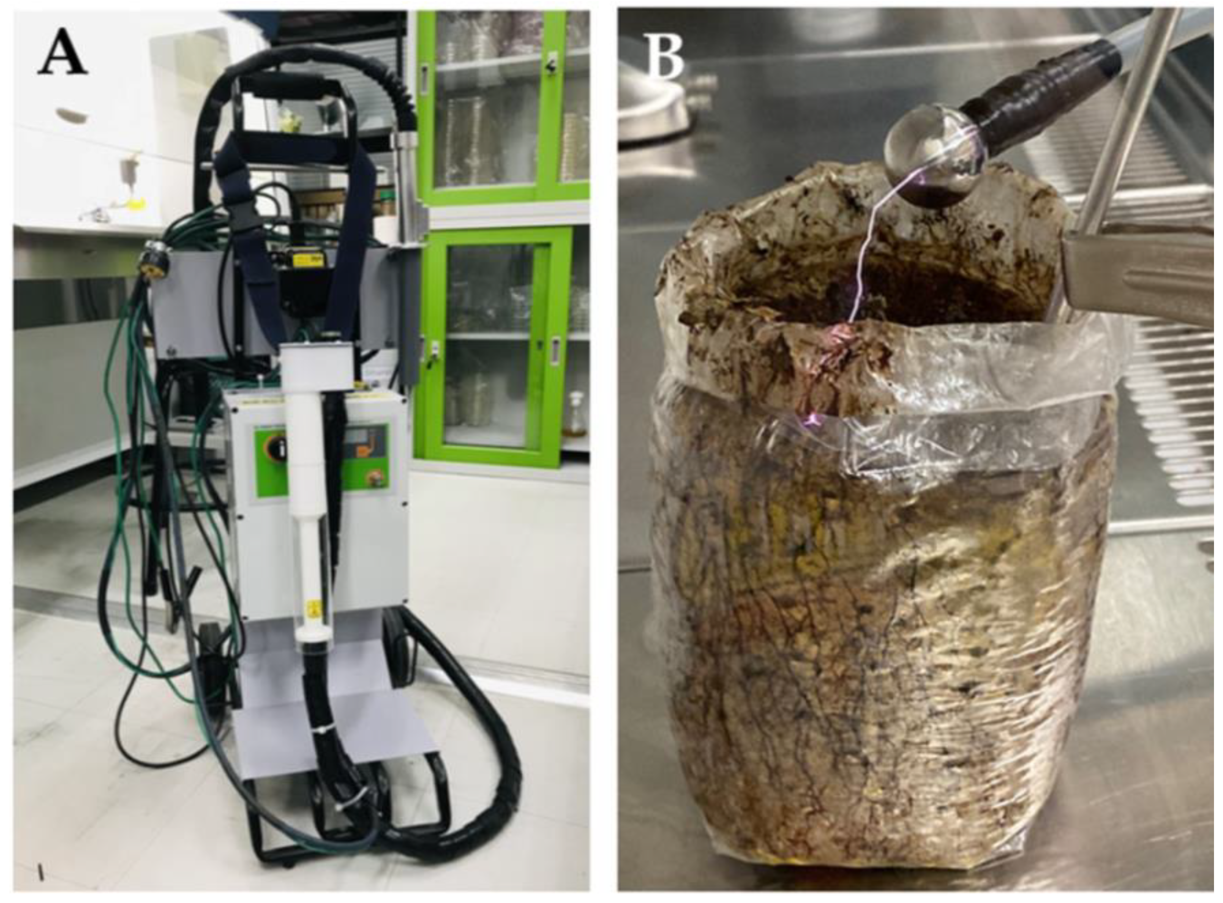 Agronomy 12 00115 g002 550