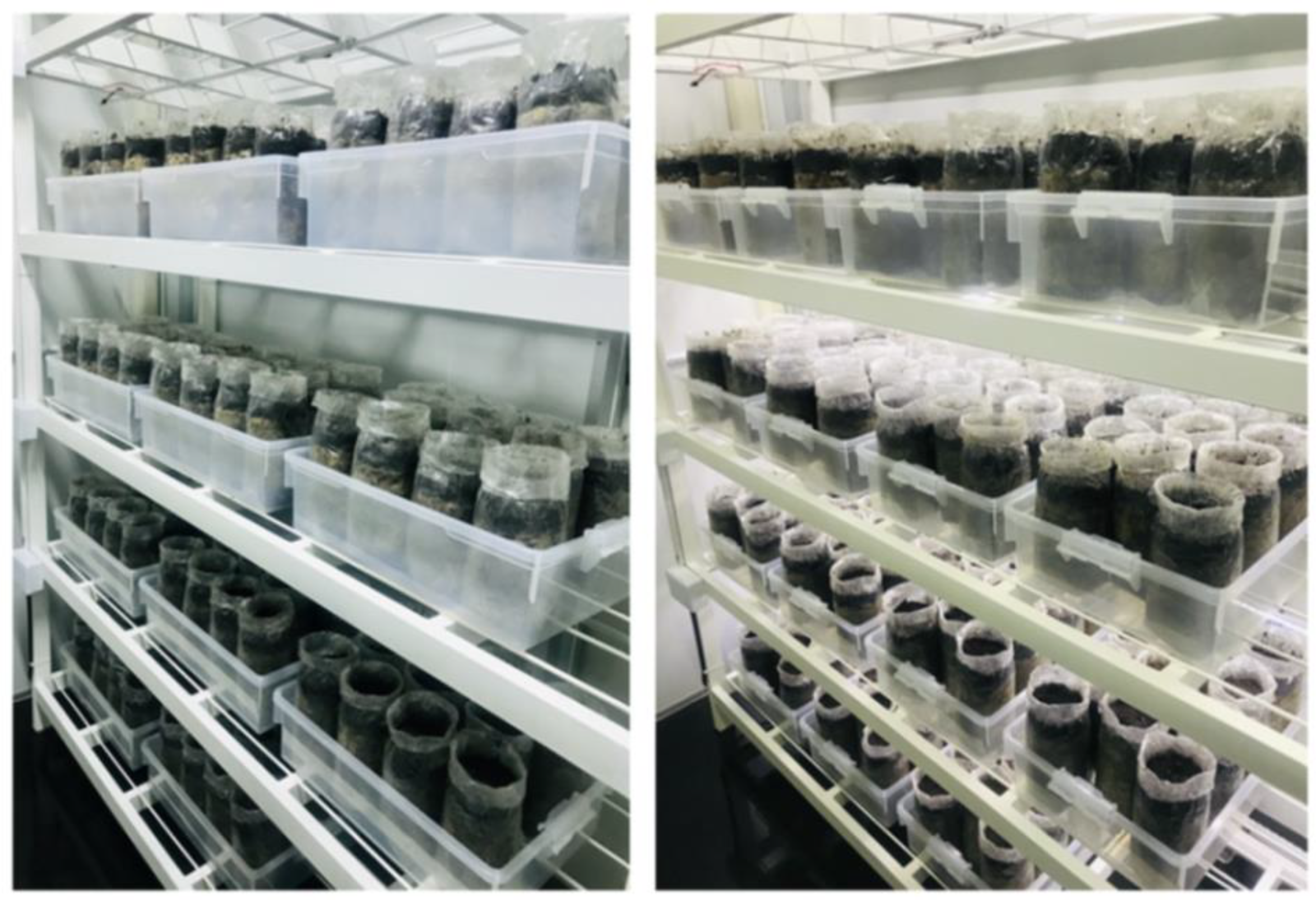 Agronomy 12 00115 g003 550