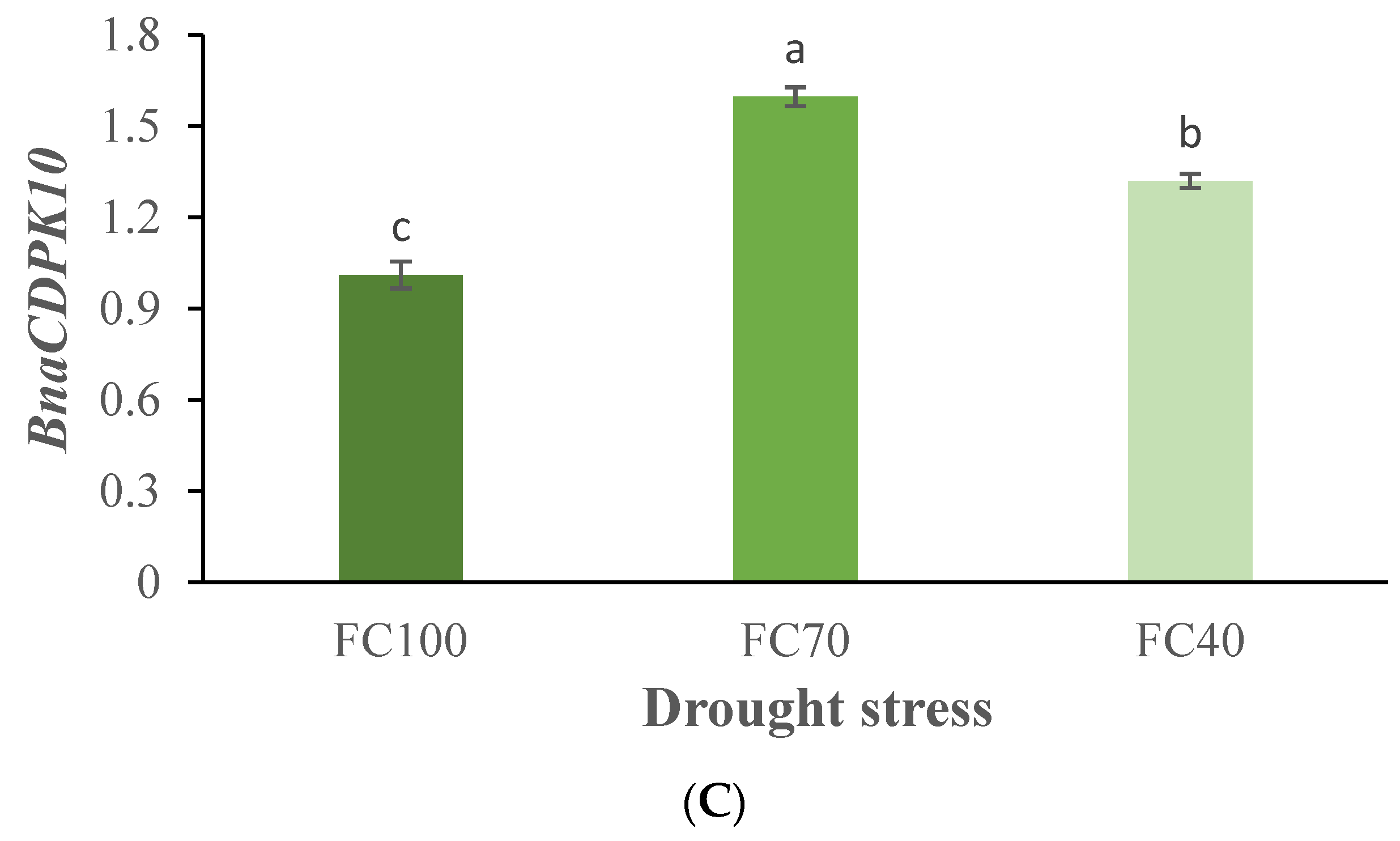Agronomy 12 00125 g007b 550