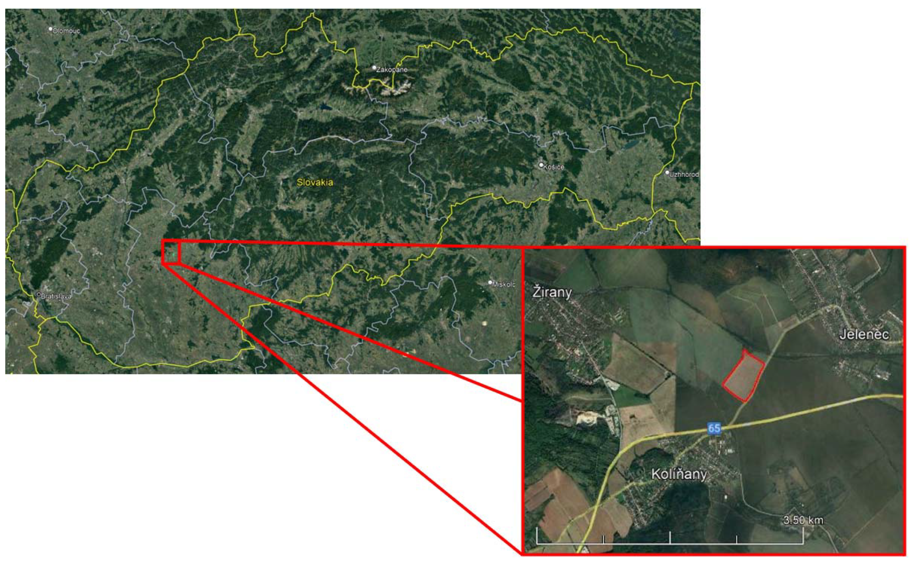 Agronomy 12 00128 g001 550