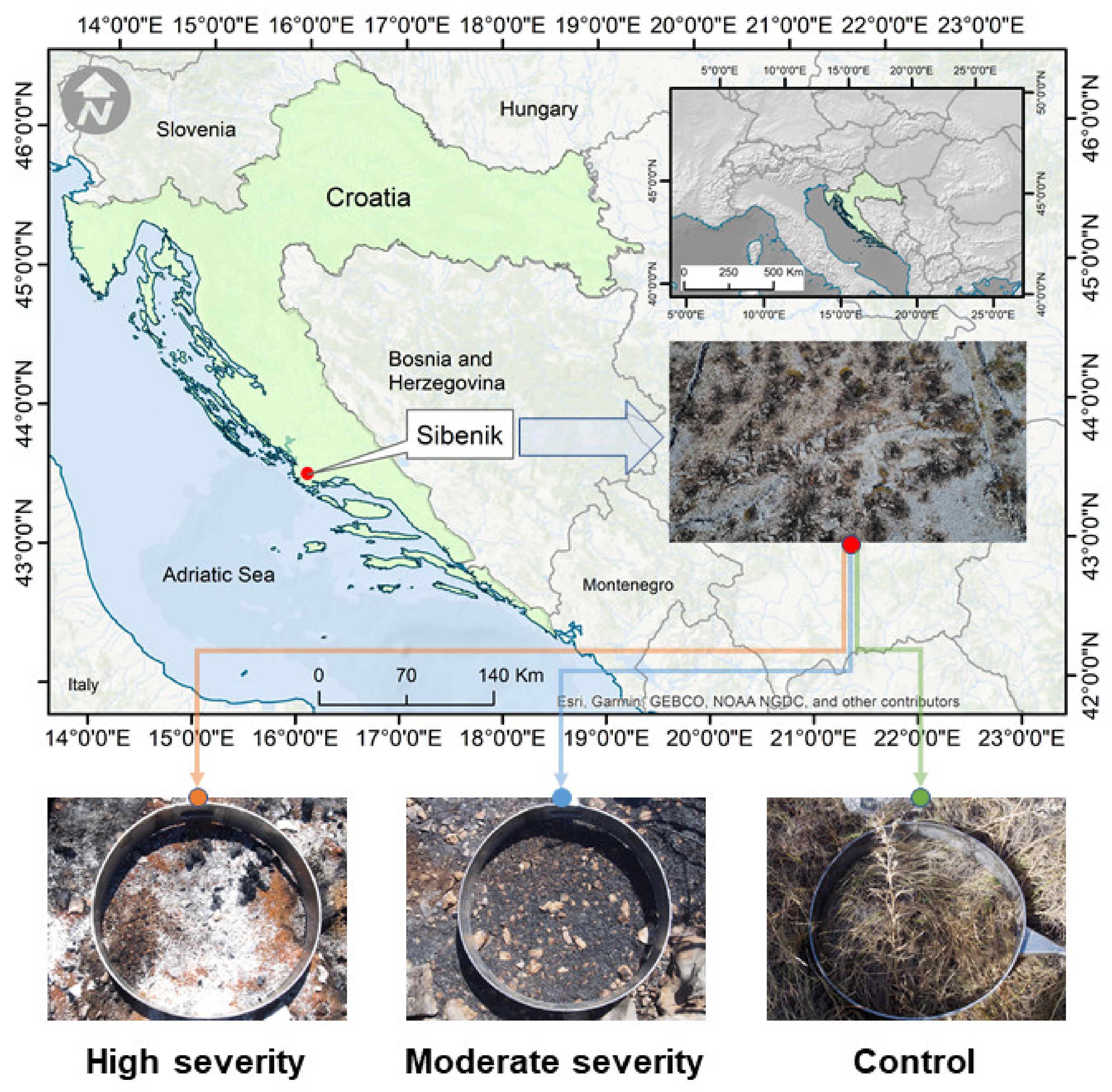 Agronomy 12 00129 g001 550