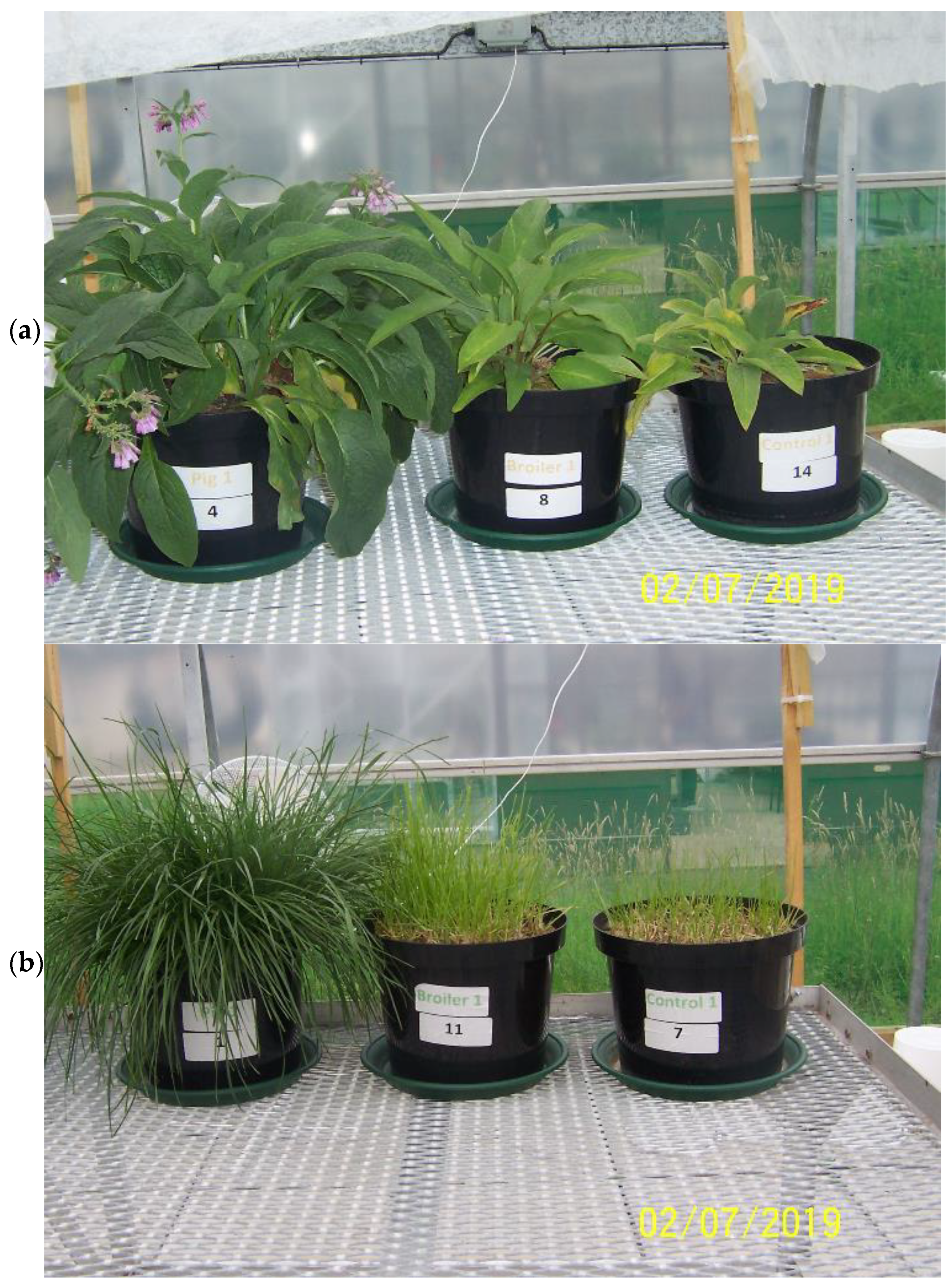 Agronomy 12 00130 g001 Agronomy 12 00130 g001