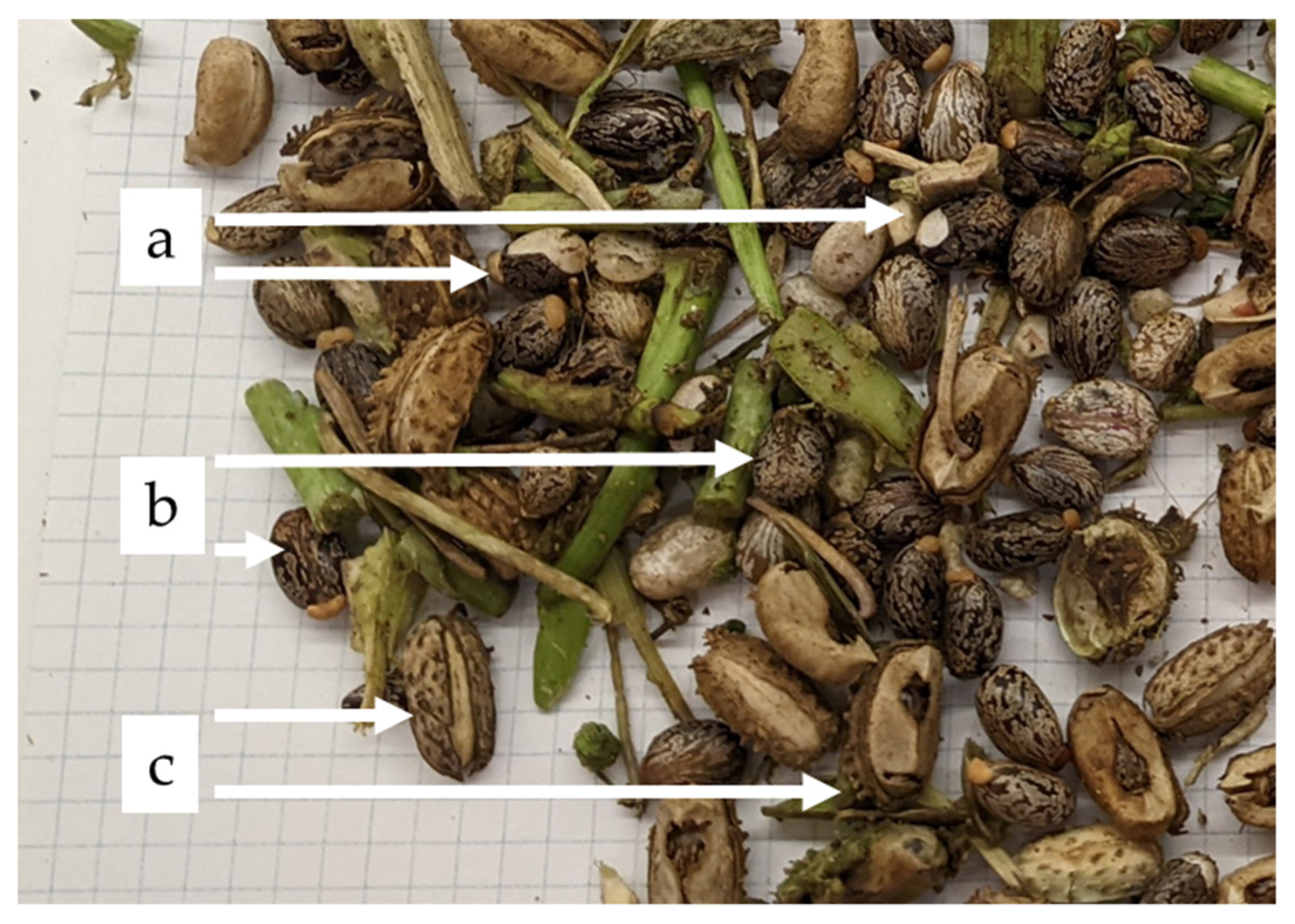 Agronomy 12 00146 g005