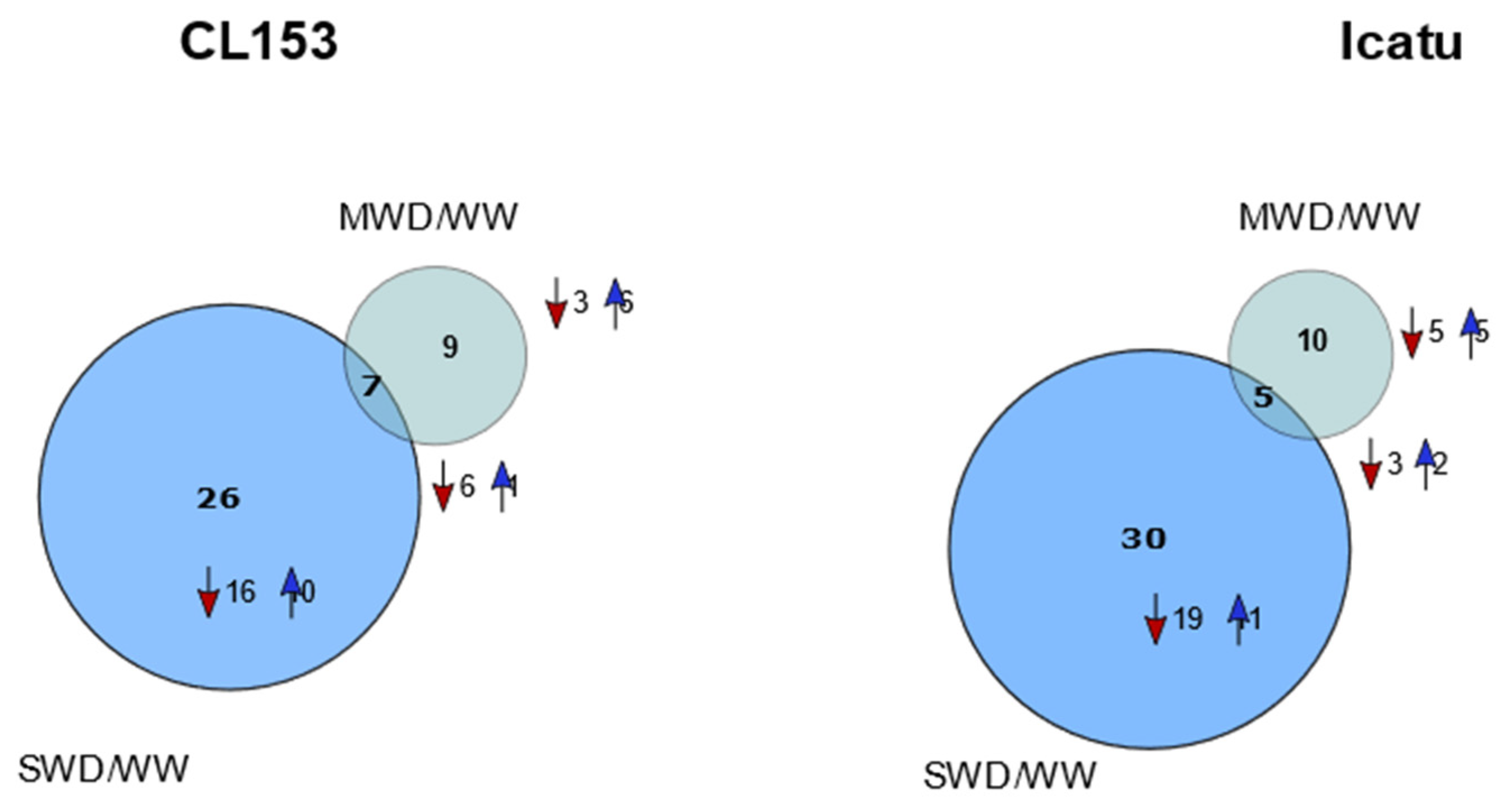 Agronomy 12 00148 g005