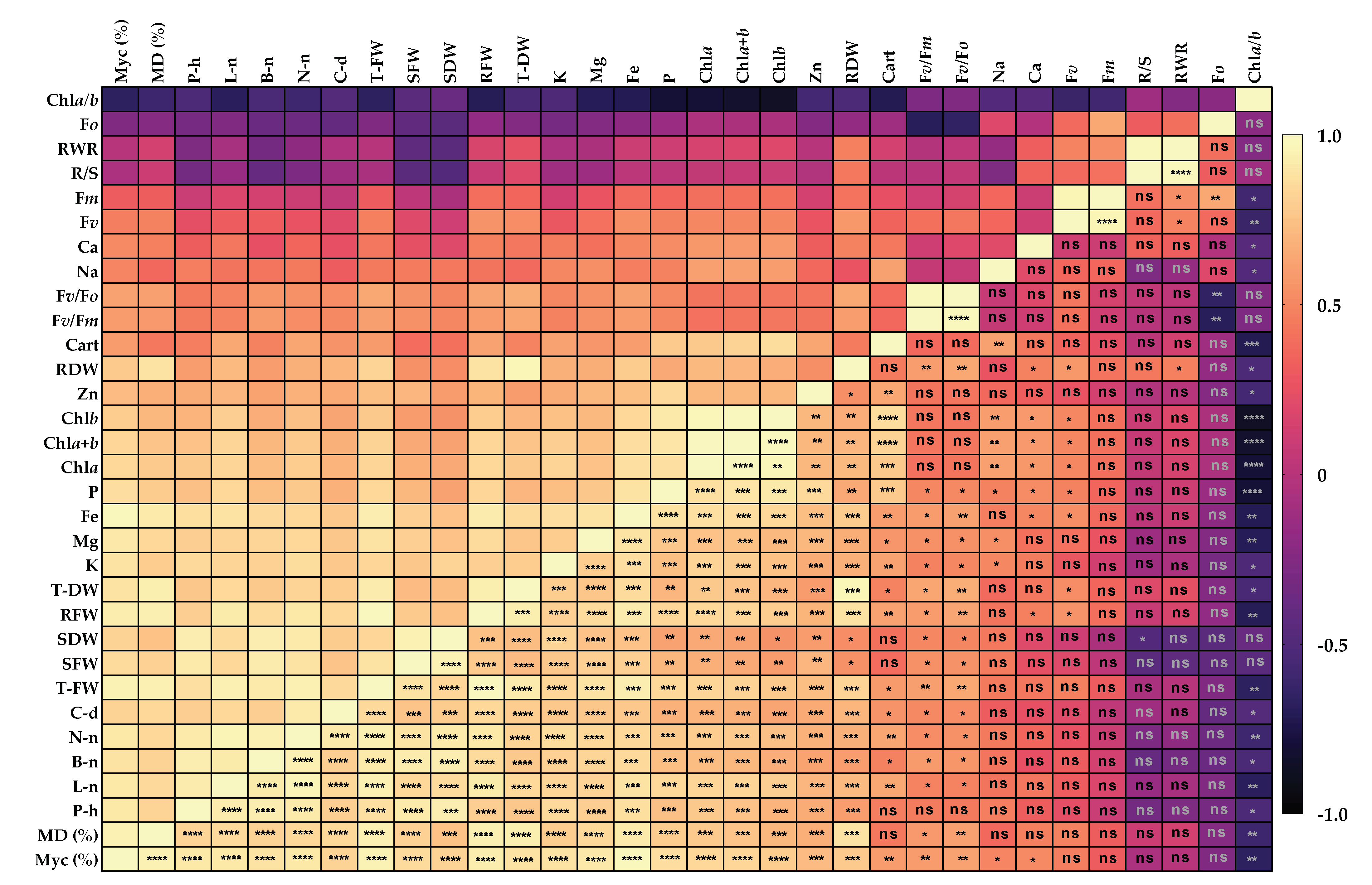 Agronomy 12 00149 g004