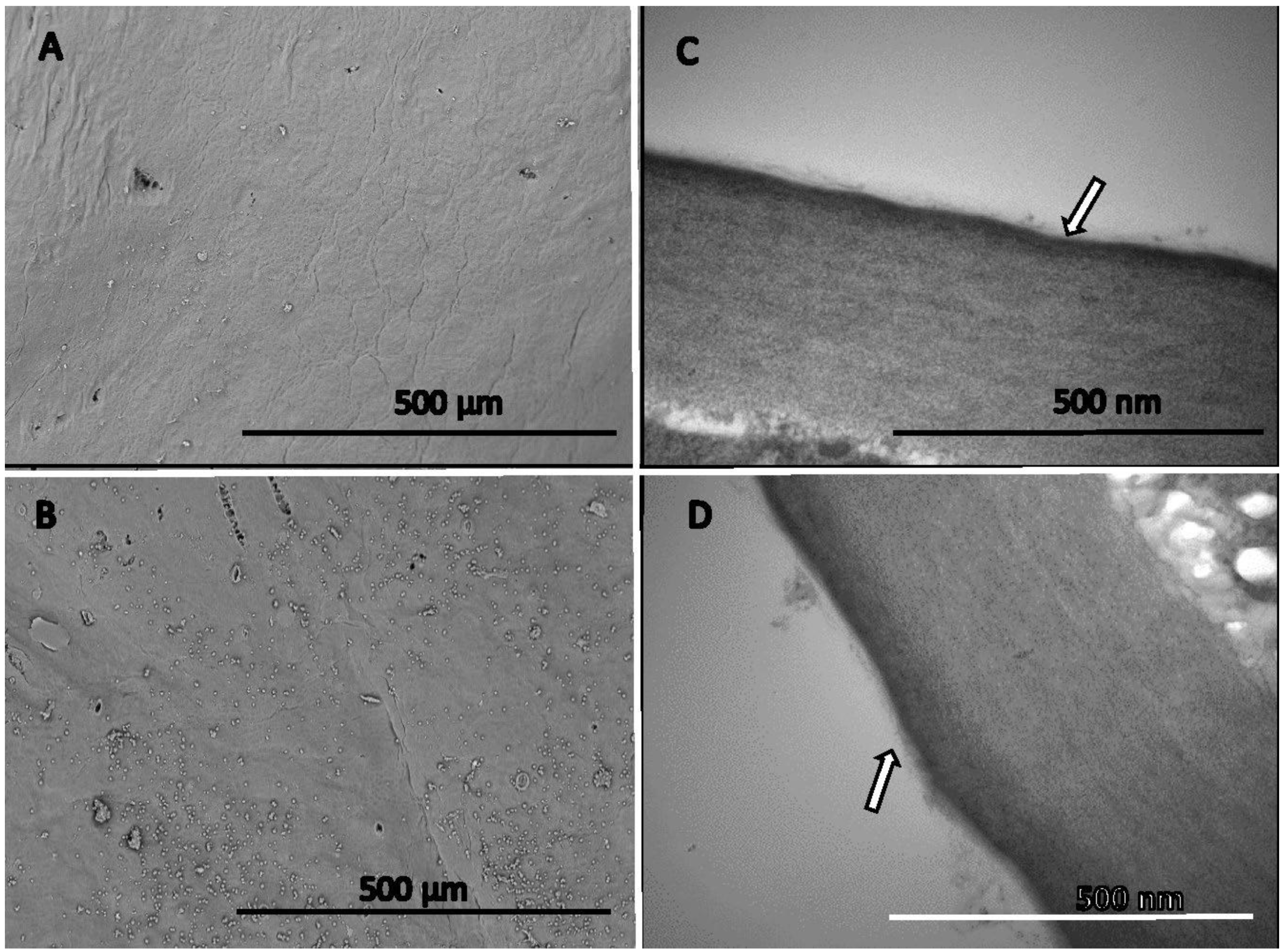 Agronomy 12 00150 g003 Agronomy 12 00150 g003