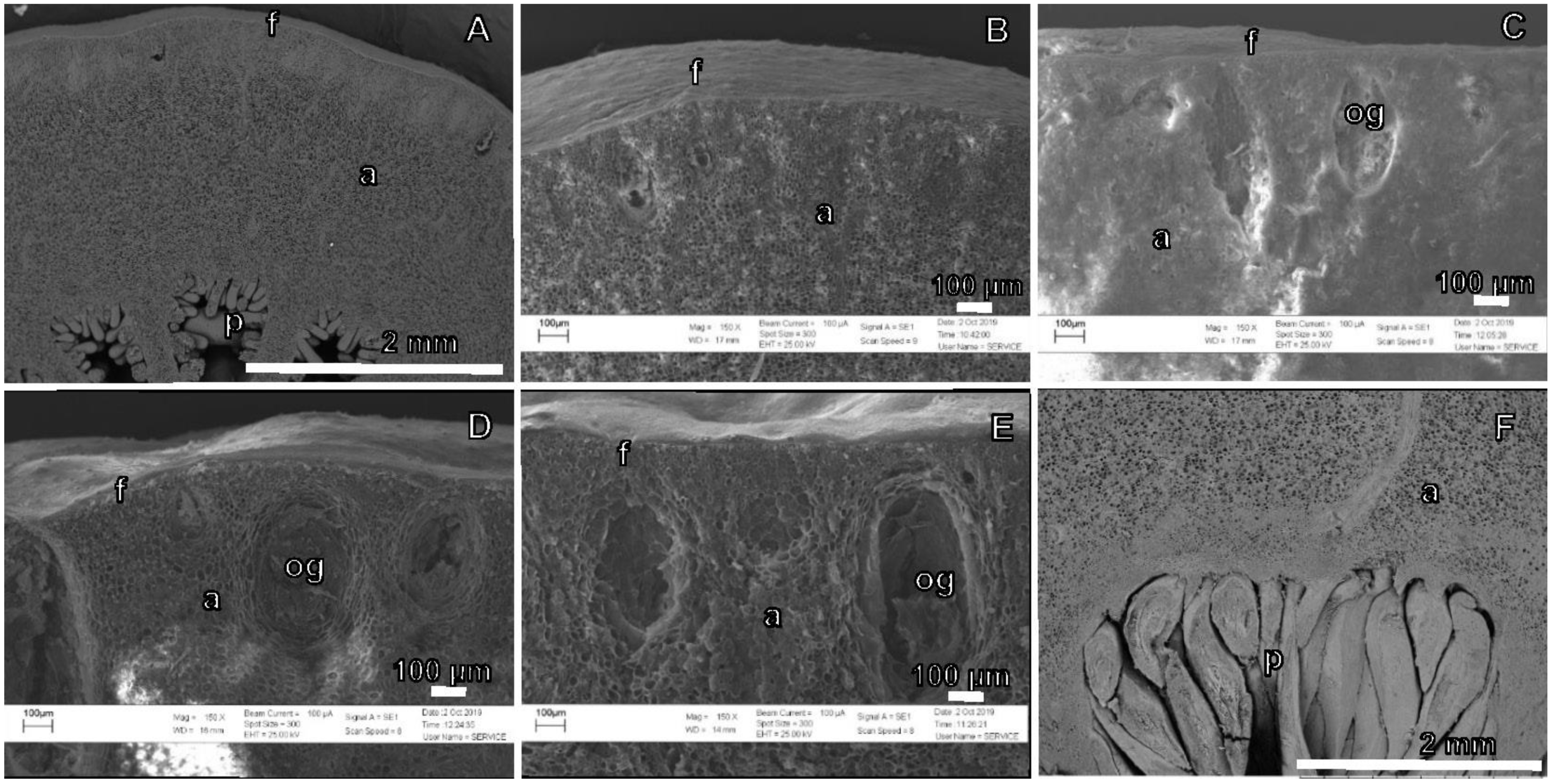 Agronomy 12 00150 g004 Agronomy 12 00150 g004