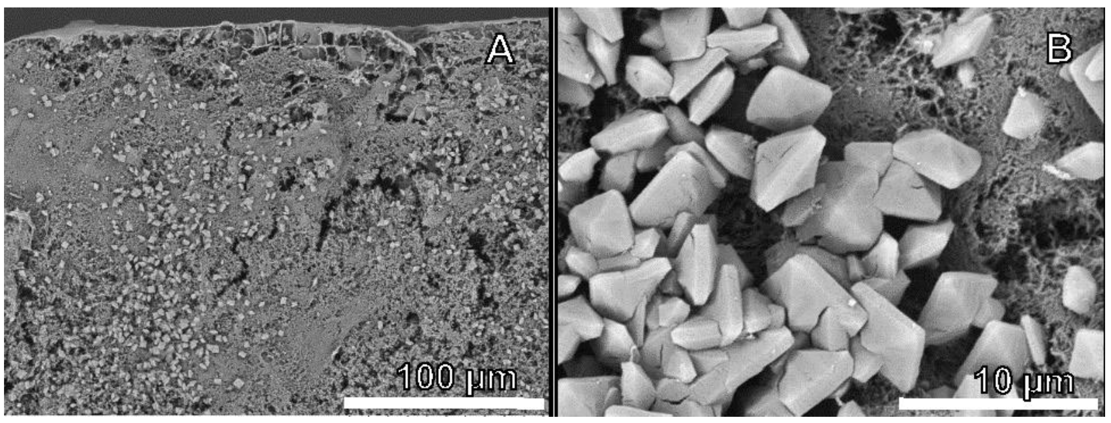 Agronomy 12 00150 g006 Agronomy 12 00150 g006