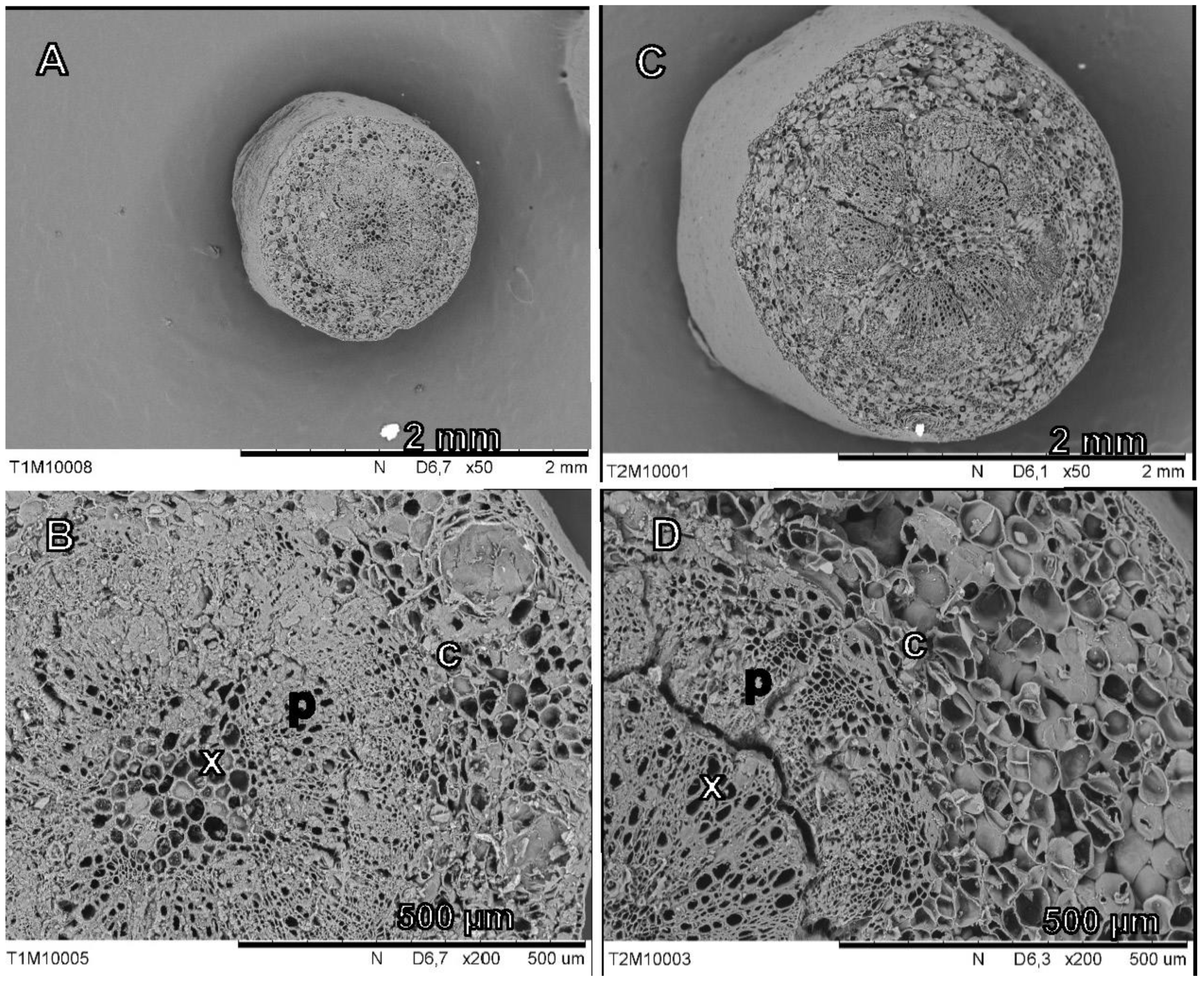 Agronomy 12 00150 g007 Agronomy 12 00150 g007