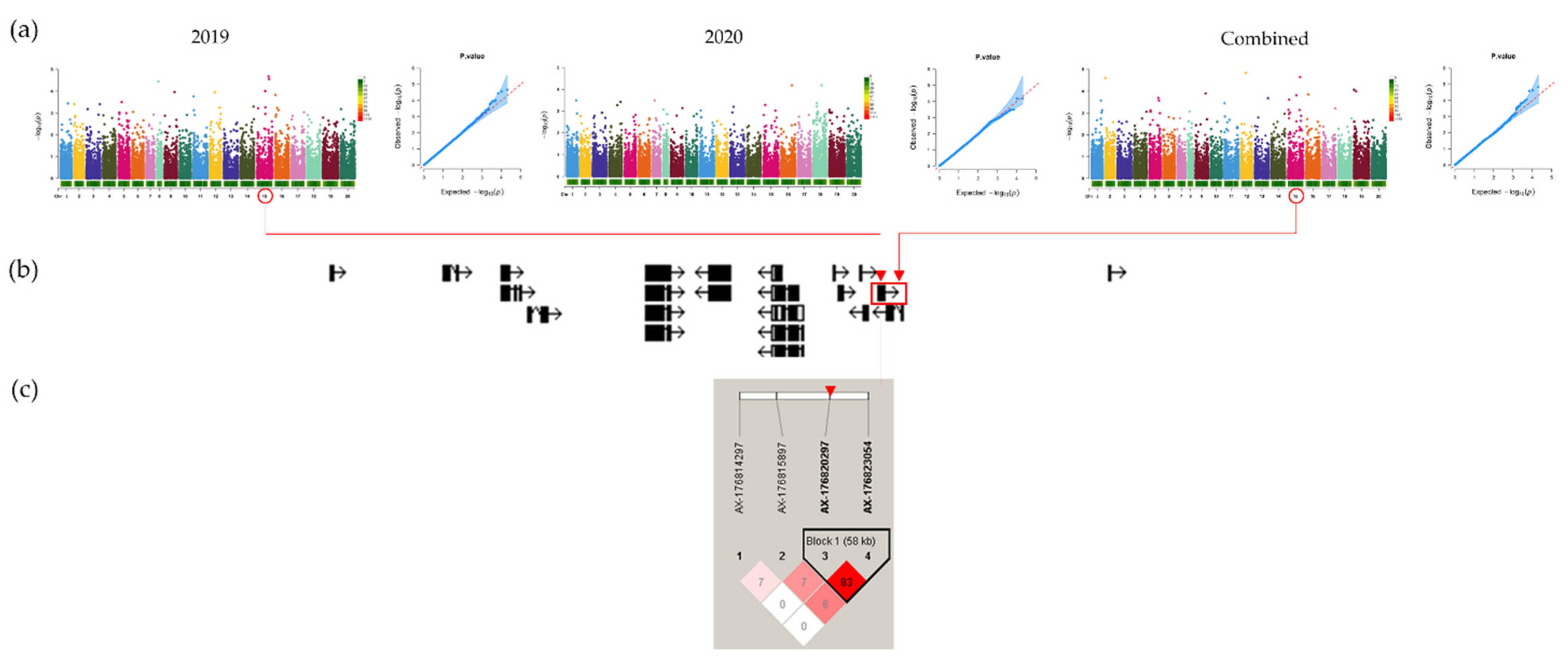Agronomy 12 00152 g003 Agronomy 12 00152 g003