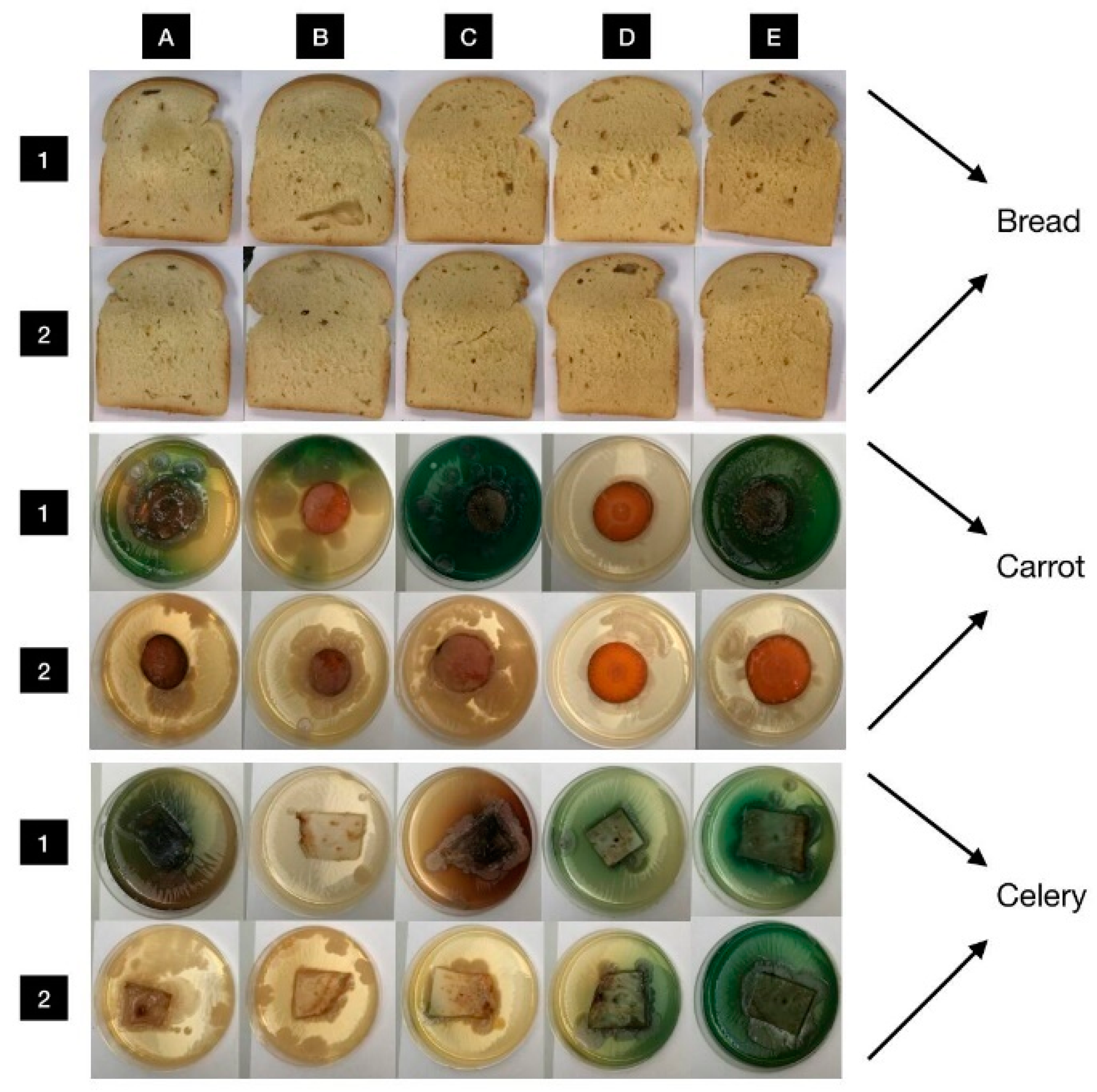Agronomy 12 00155 g005 550