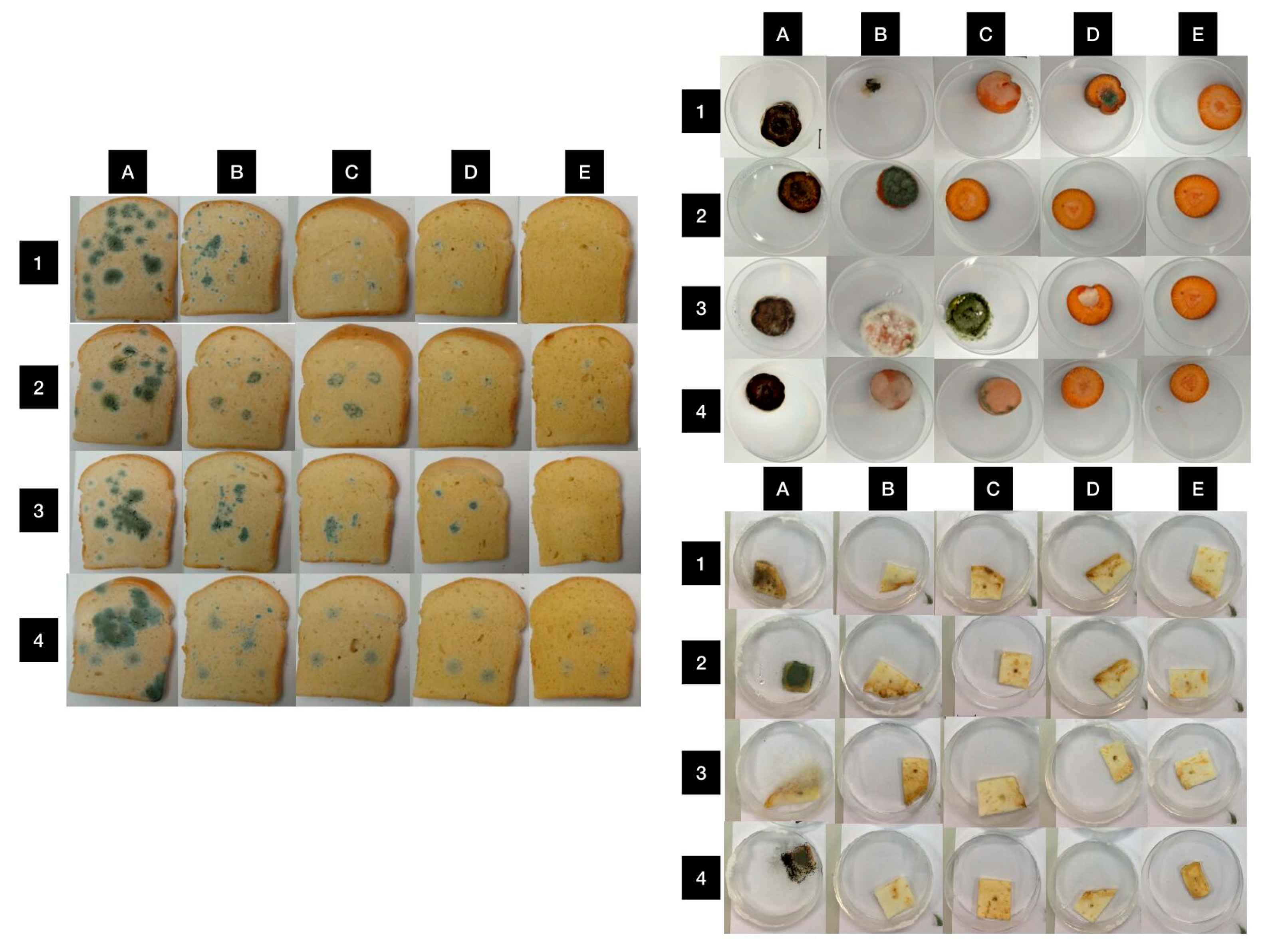 Agronomy 12 00155 g006 550