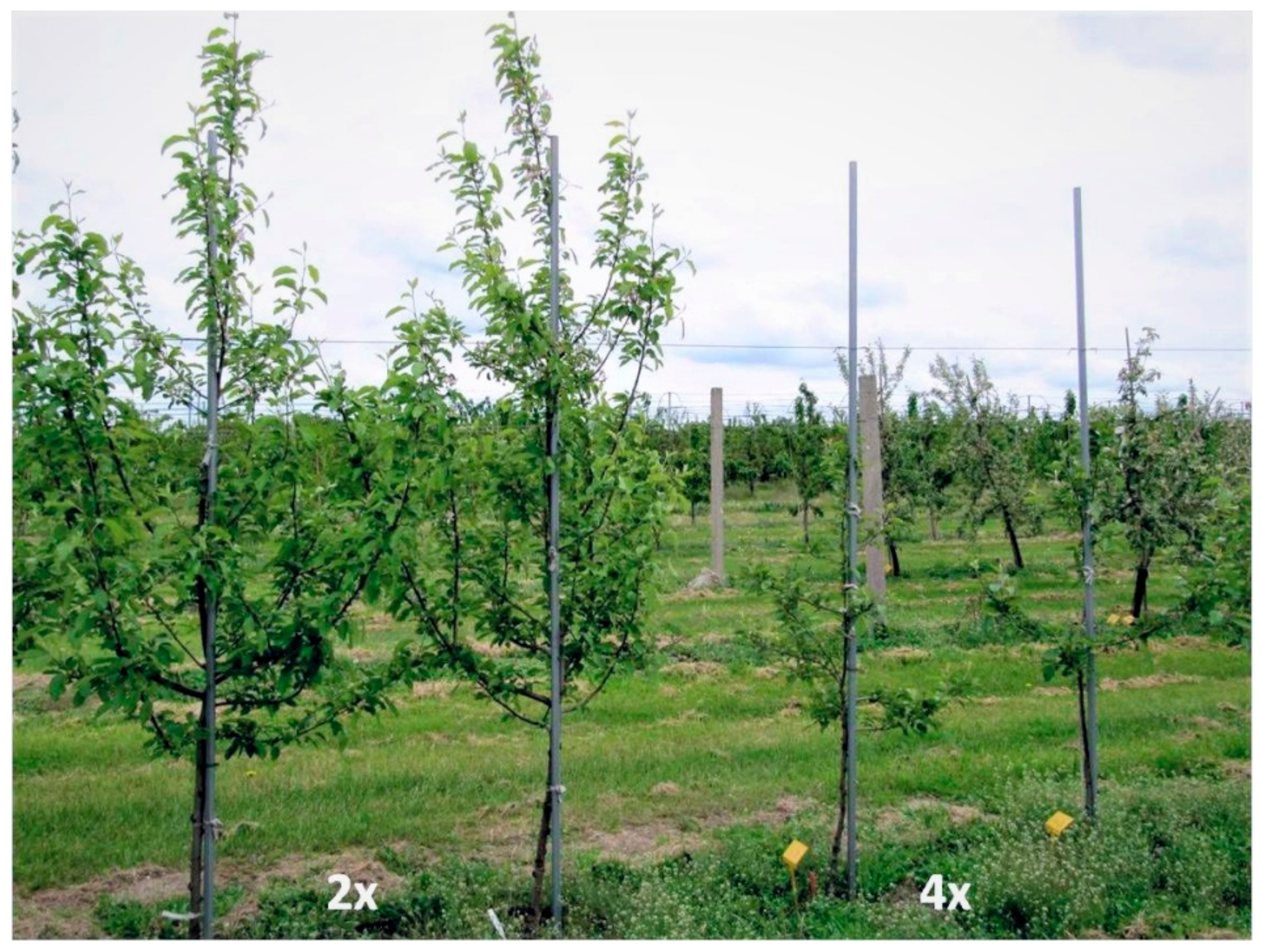 Agronomy 12 00161 g002