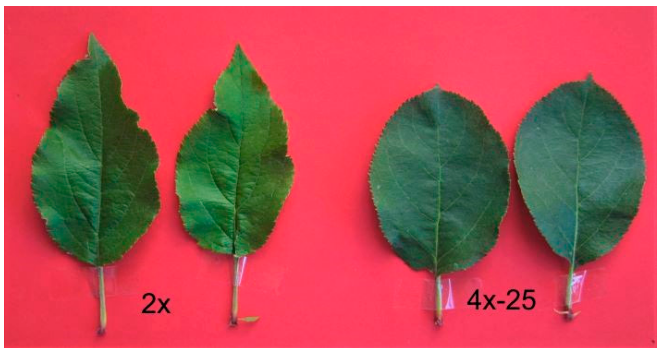 Agronomy 12 00161 g003