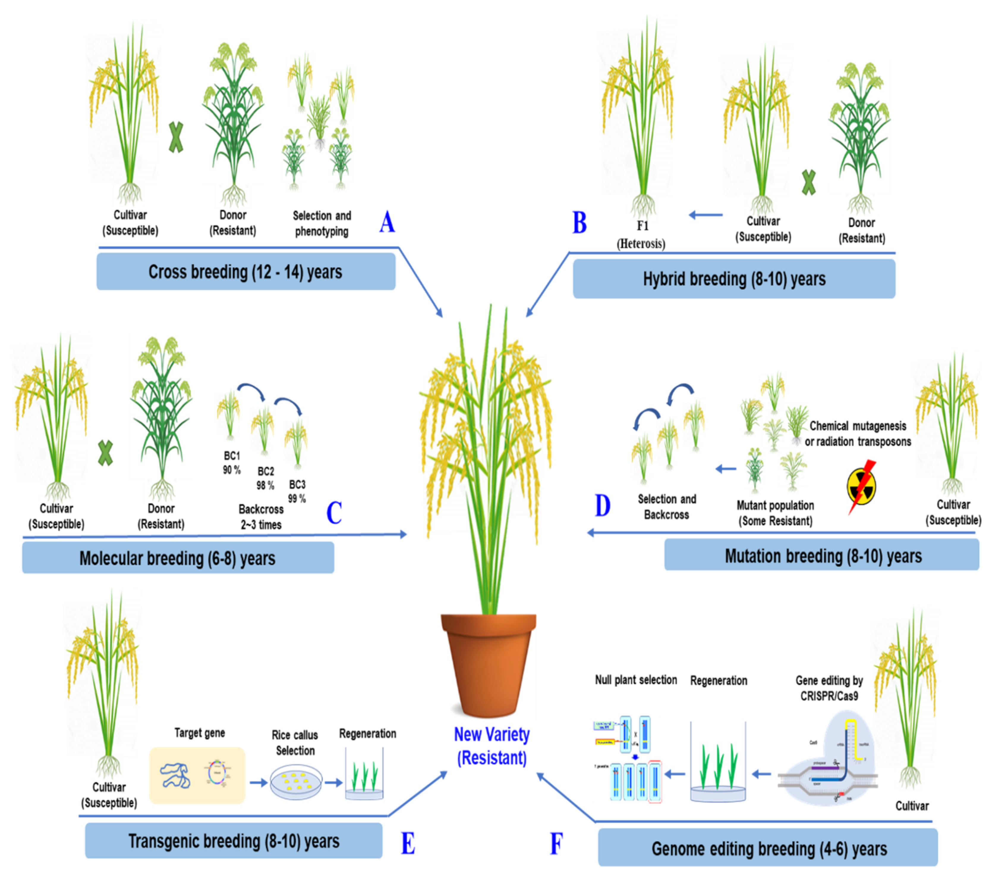 Research Trends and Challenges of Using CRISPR/Cas9 for