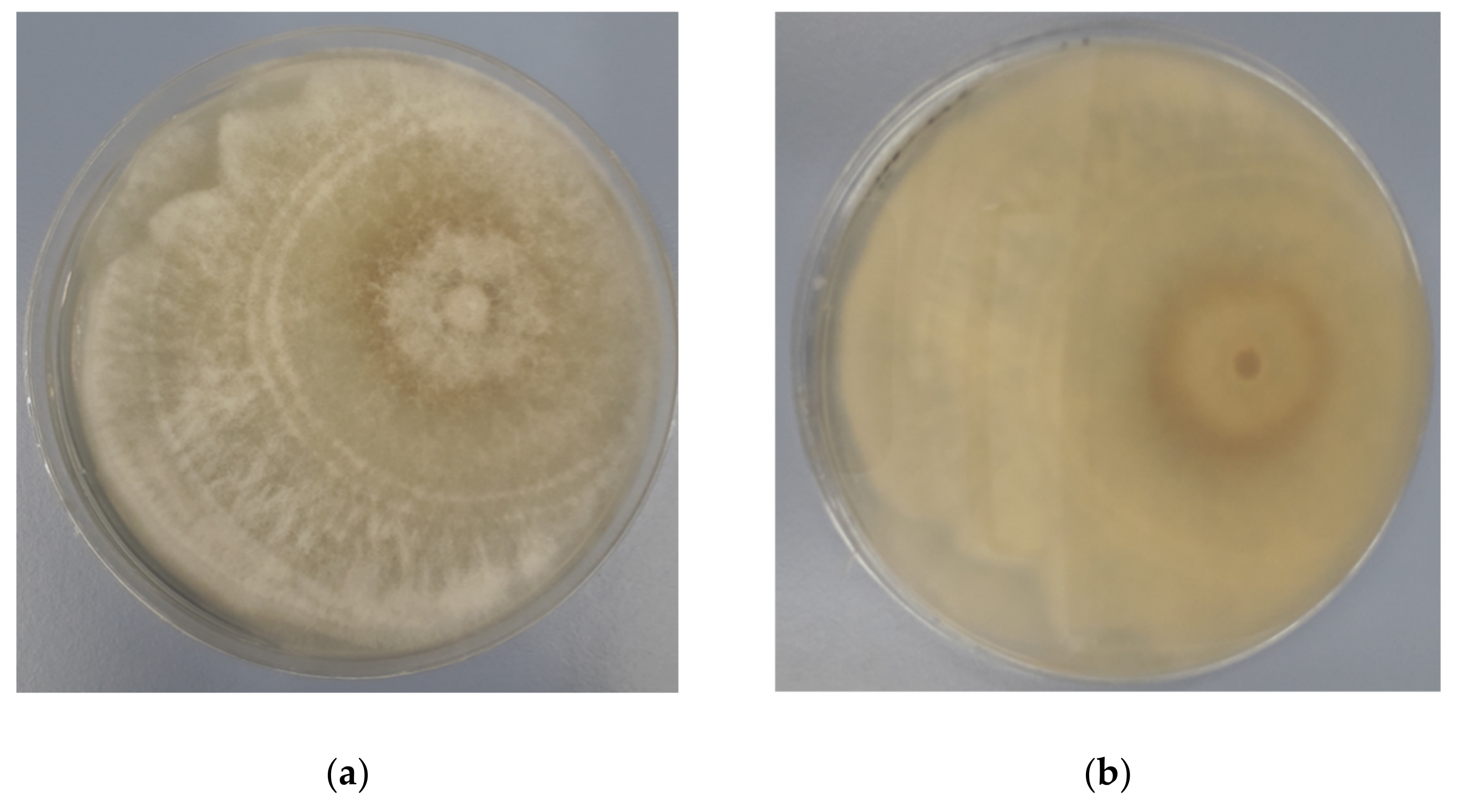 Agronomy 12 00165 g001 Agronomy 12 00165 g001