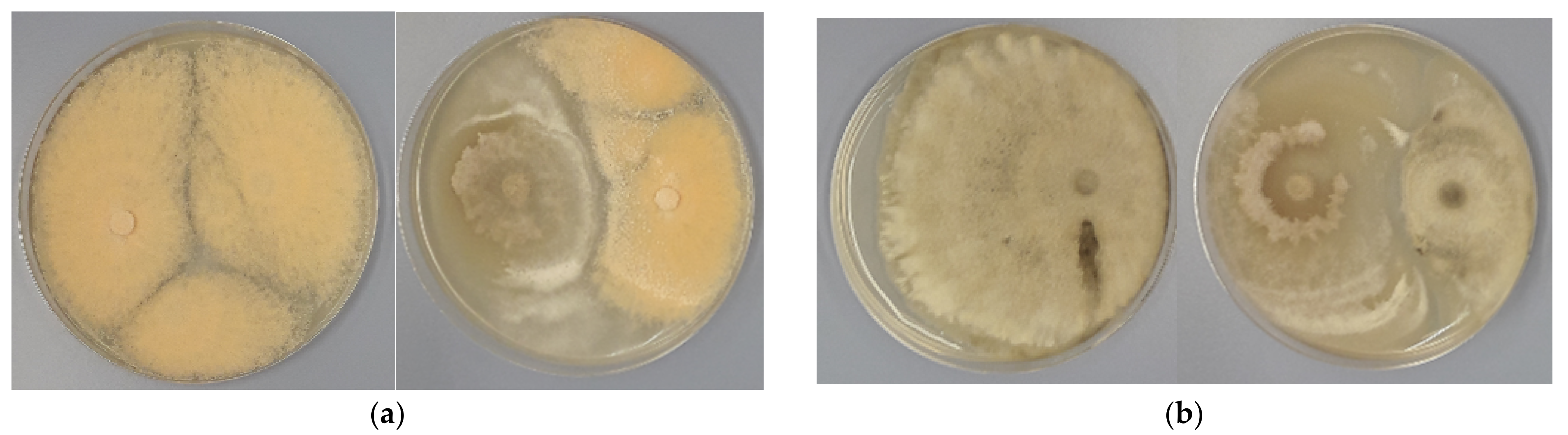 Agronomy 12 00165 g003a Agronomy 12 00165 g003a