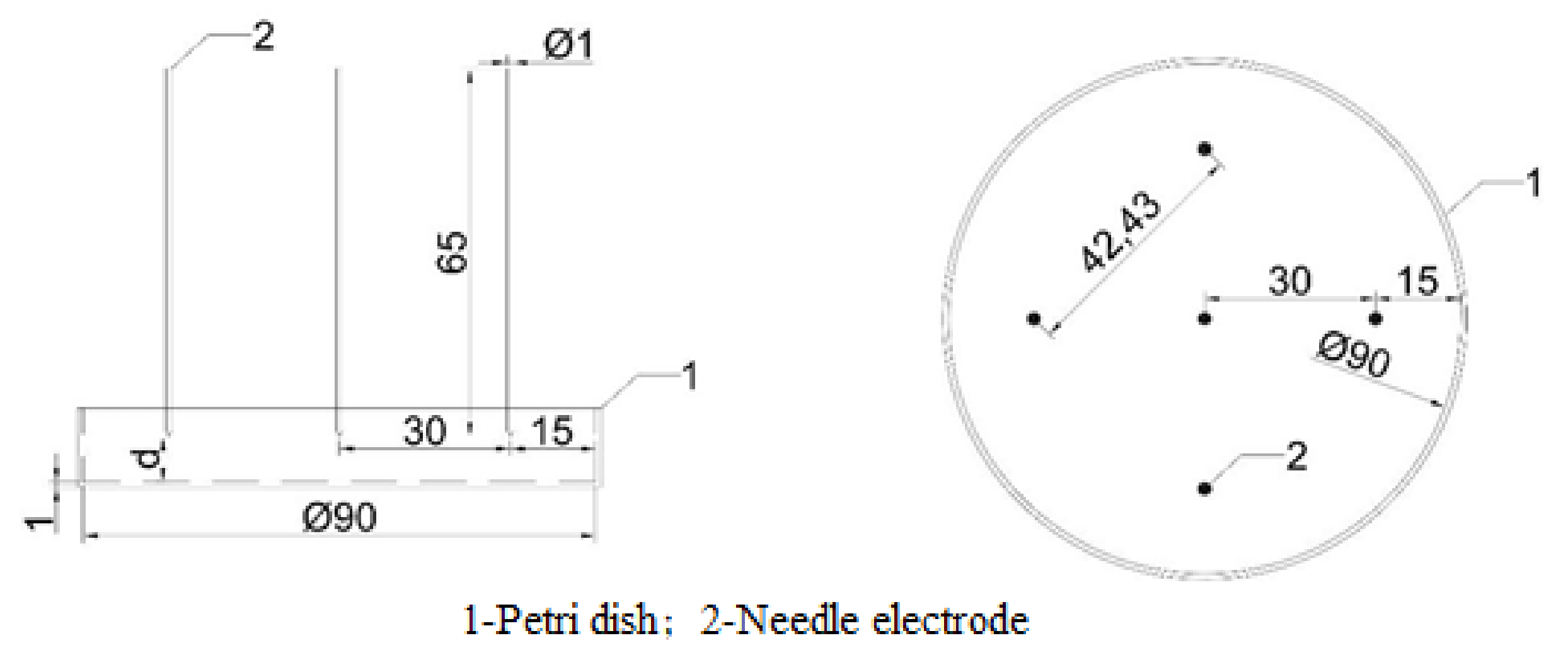 Agronomy 12 00166 g002 550