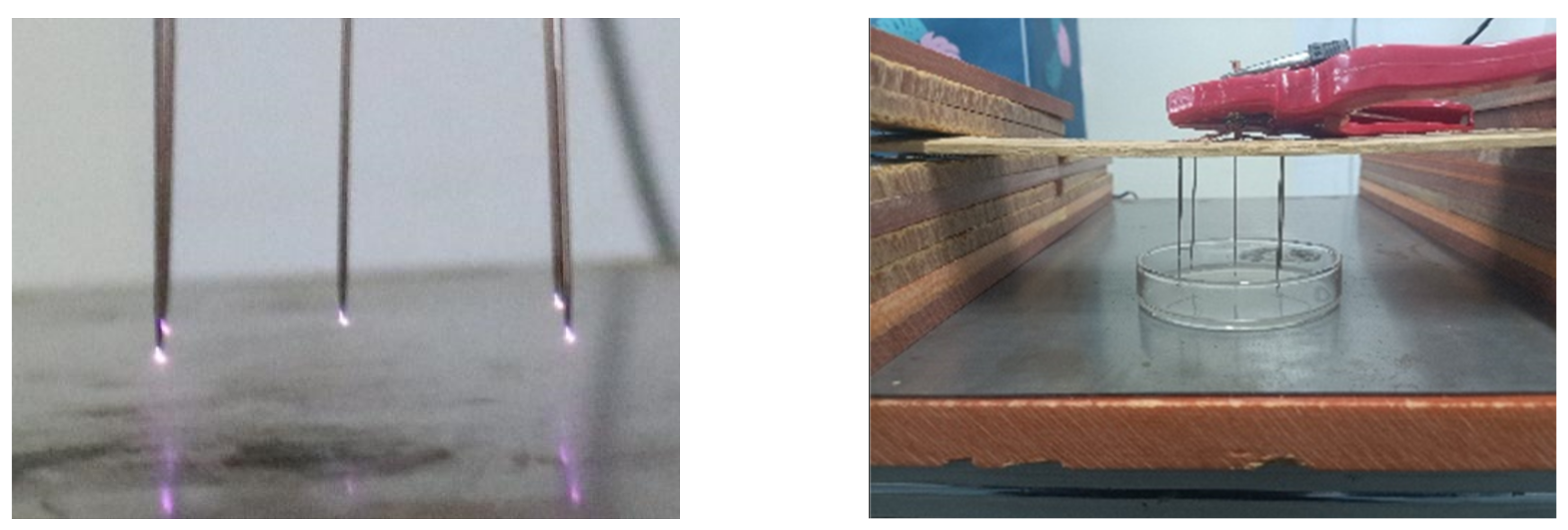 Agronomy 12 00166 g003 550