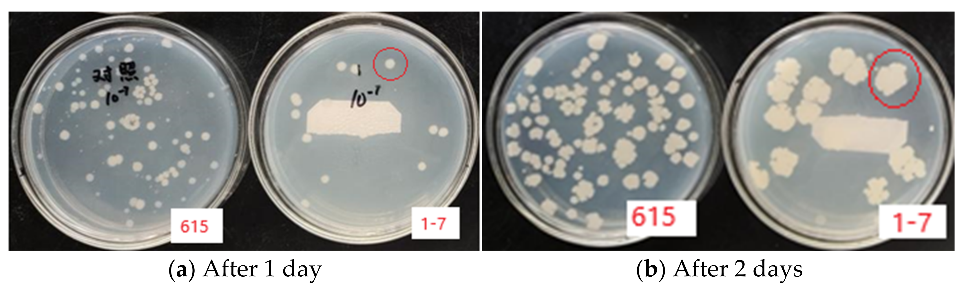 Agronomy 12 00166 g005 550