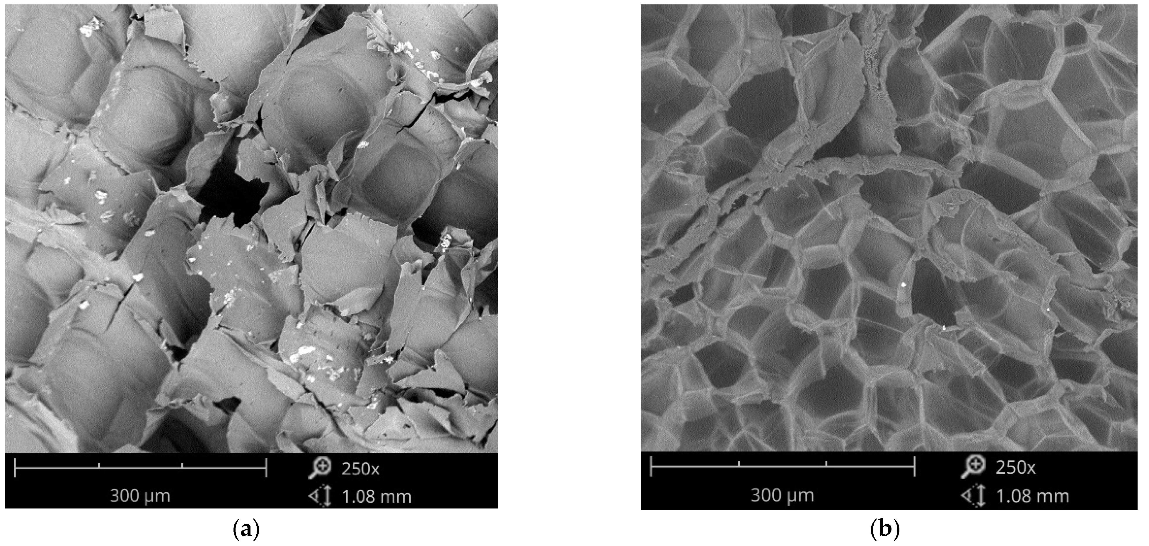 Agronomy 12 00178 g002