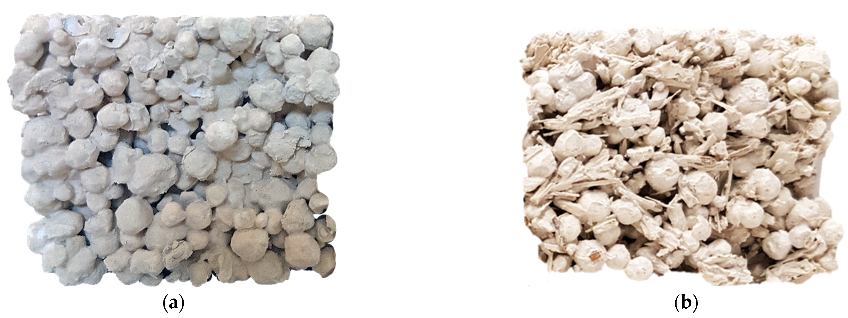 Agronomy 12 00178 g008